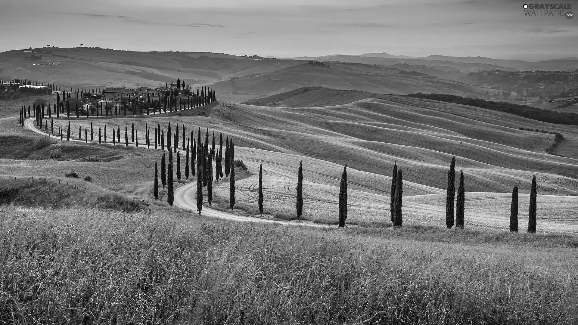 Houses, Tuscany, cypresses, The Hills, Italy, Way, Sunrise