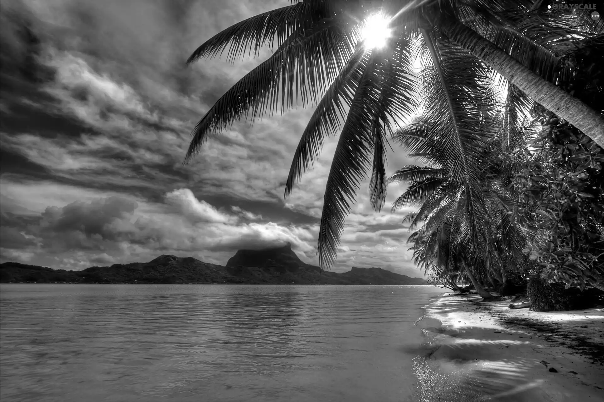 Mountains, Ocean, Sunrise, Palms, Beaches, Pacific