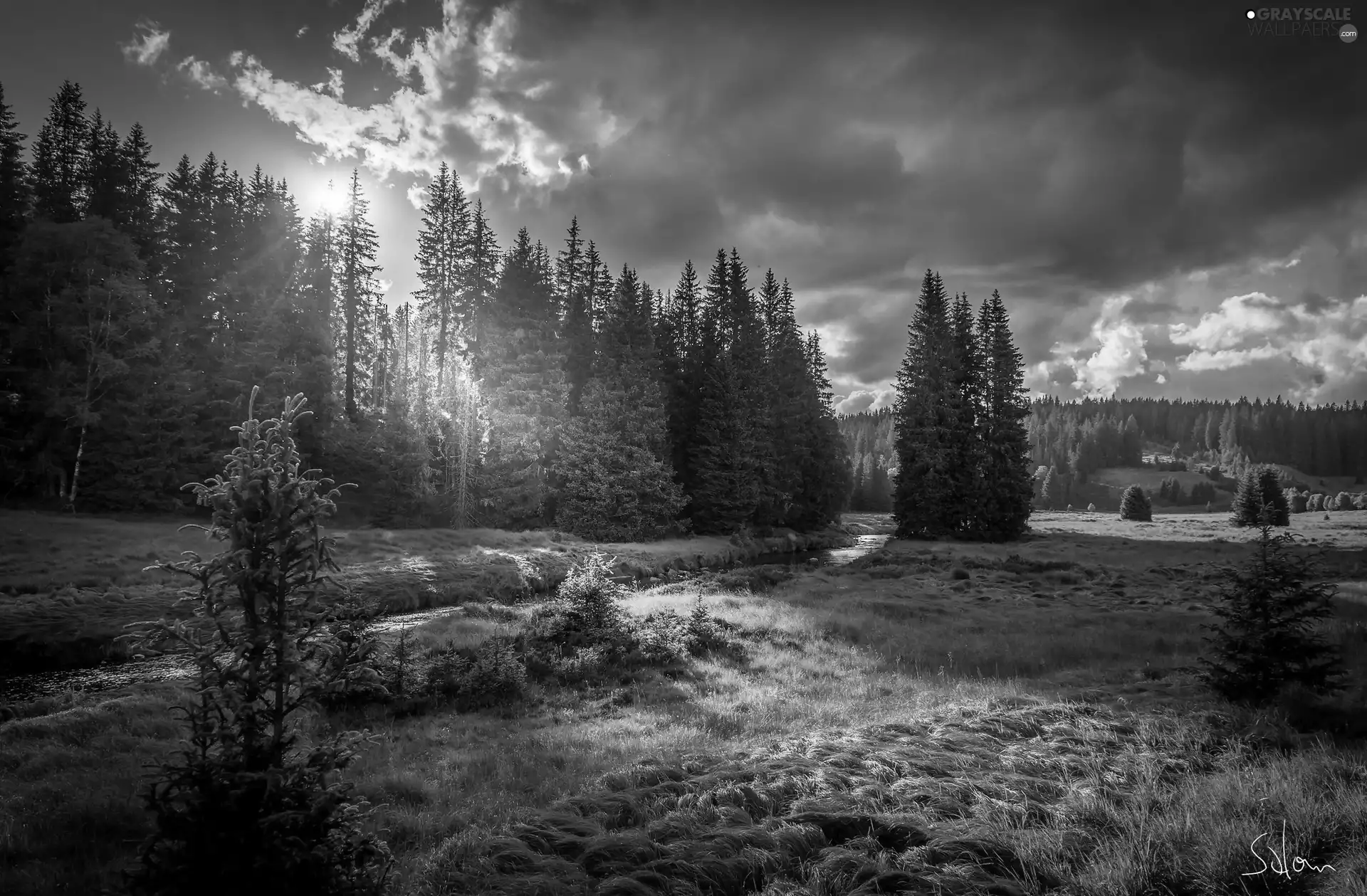 River, clouds, Sunrise, forest