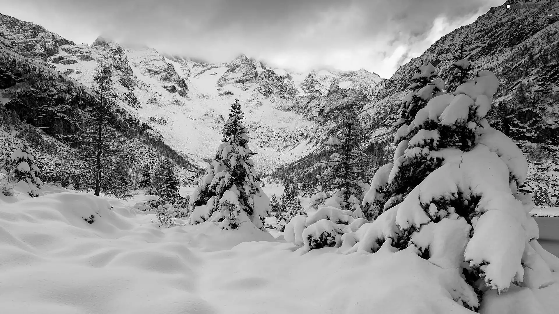 trees, Mountains, winter, Sunrise, viewes, Snowy