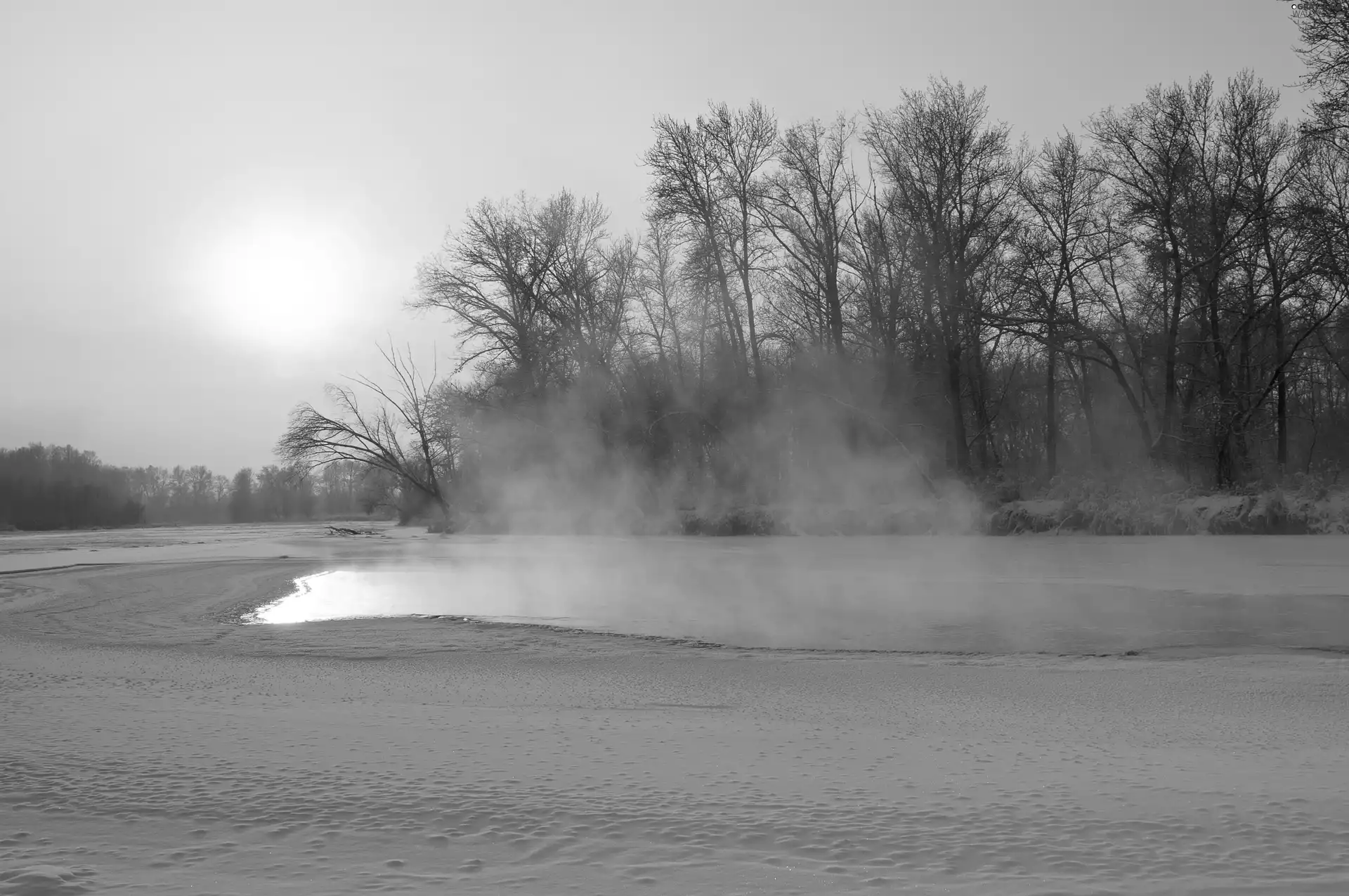 winter, trees, viewes, Sunrise