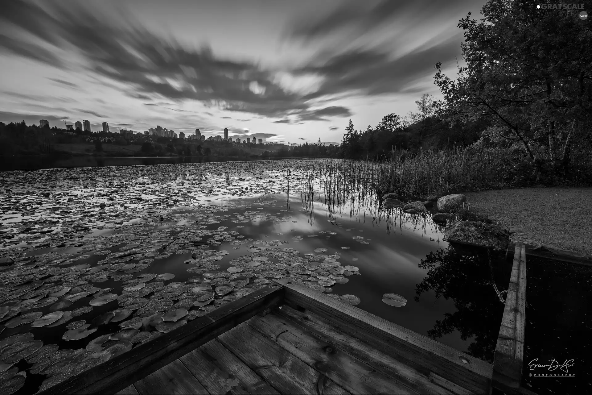 Water lilies, clouds, Pond - car, Leaf, Great Sunsets