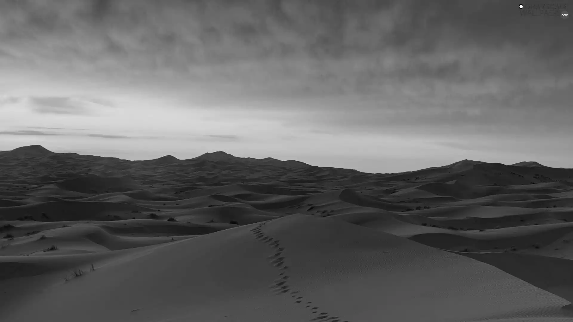 Desert, Great Sunsets