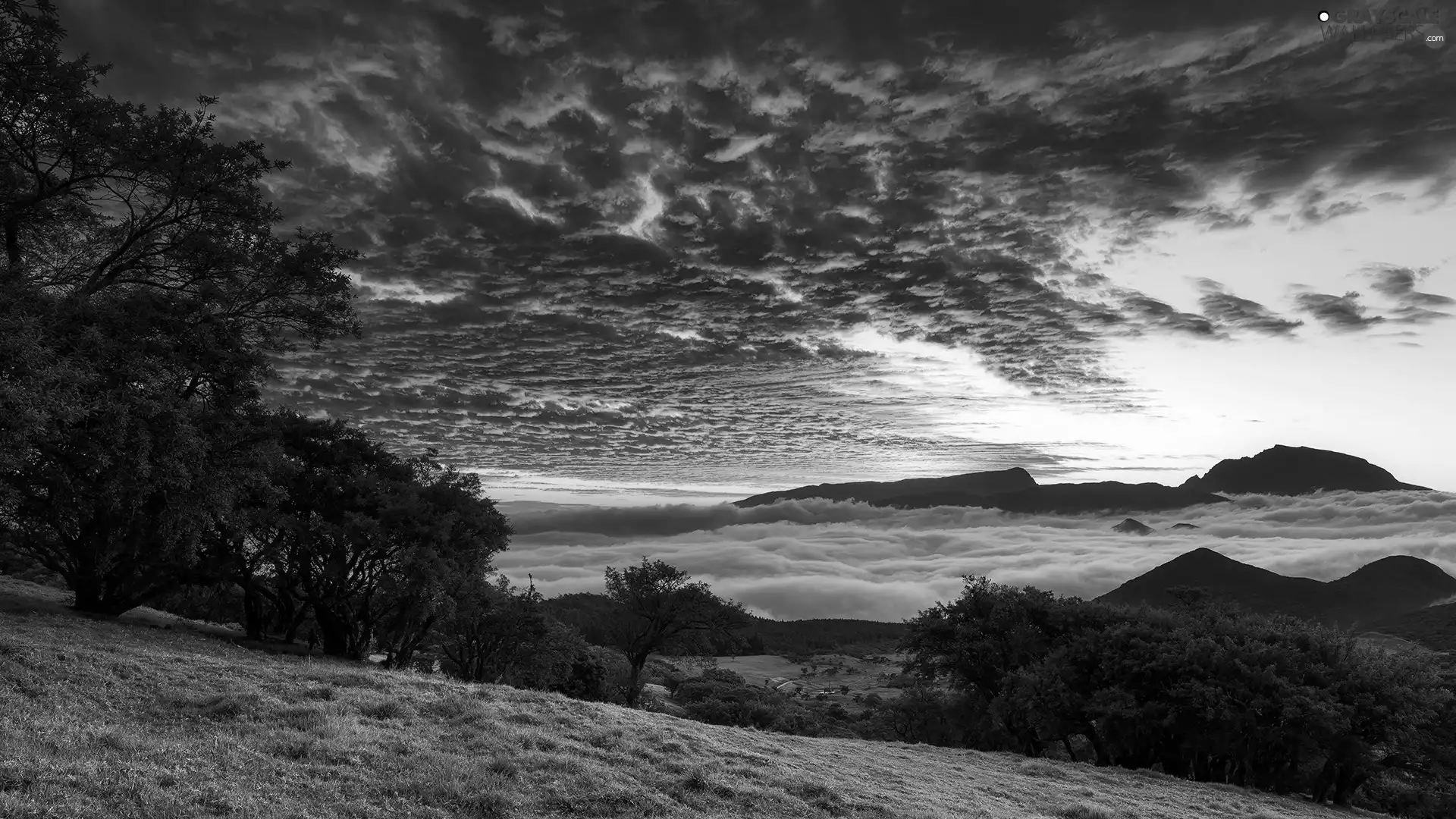 viewes, Mountains, Great Sunsets, clouds, Fog, trees
