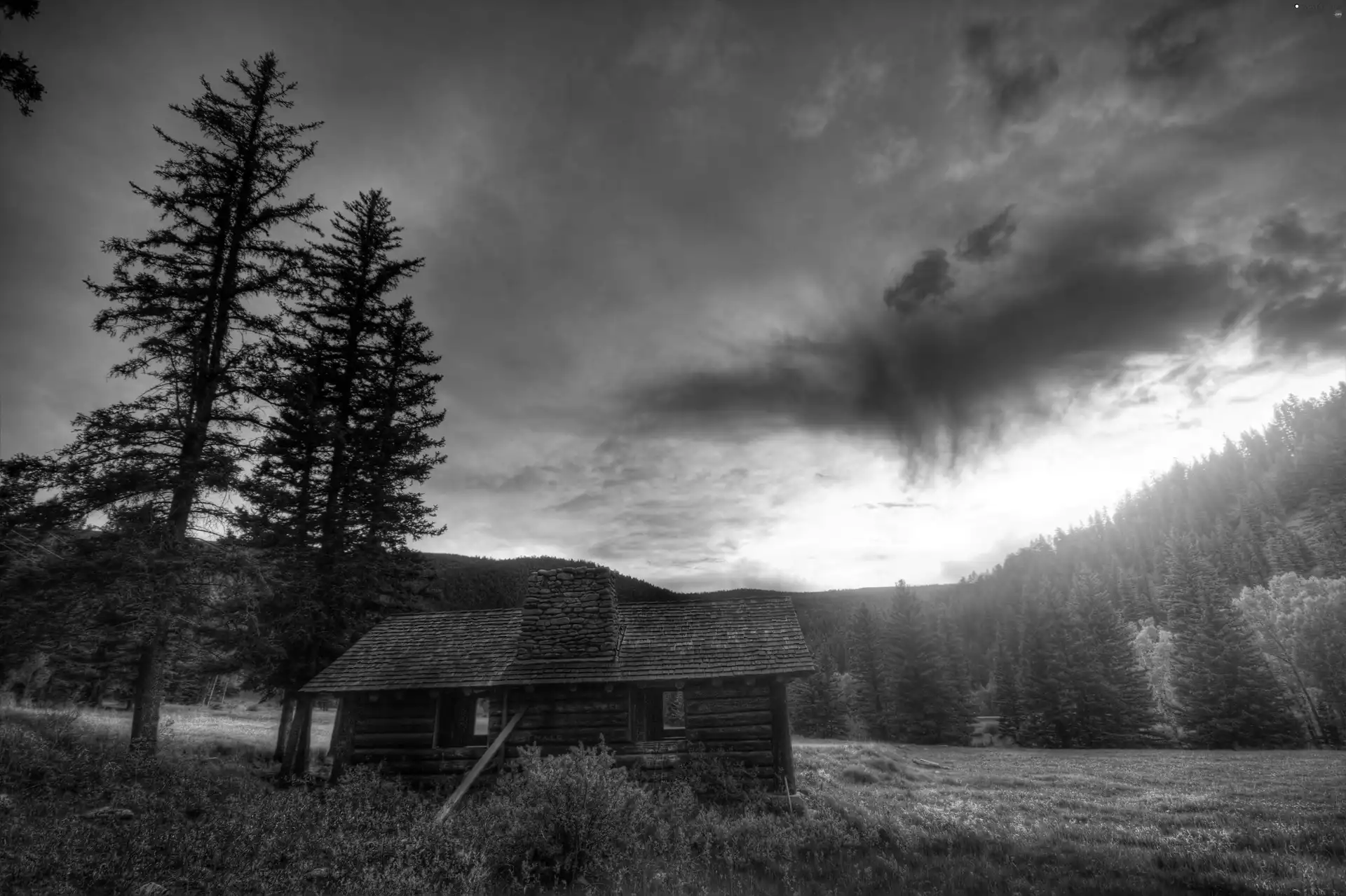 trees, Field, Sky, house, forest, viewes, Great Sunsets