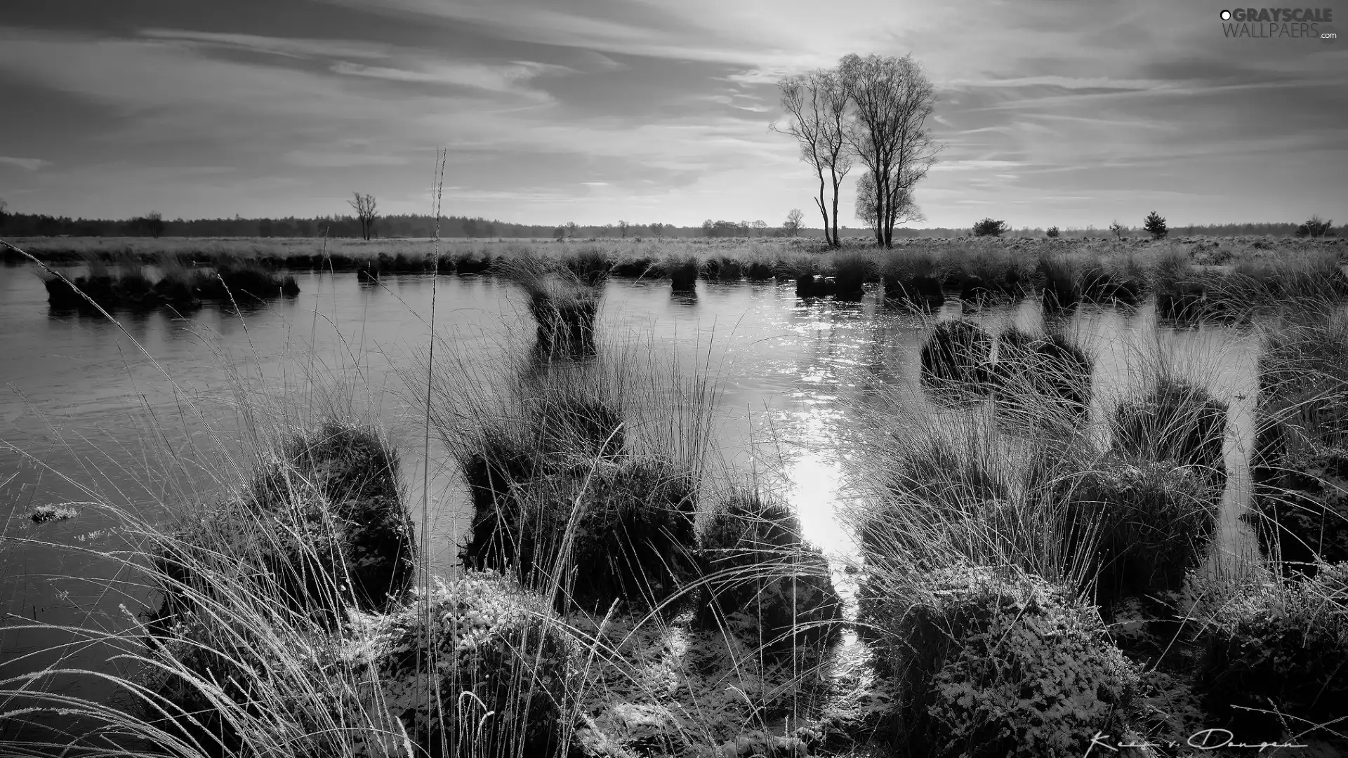 grass, frosty, viewes, Clumps, River, trees, Great Sunsets