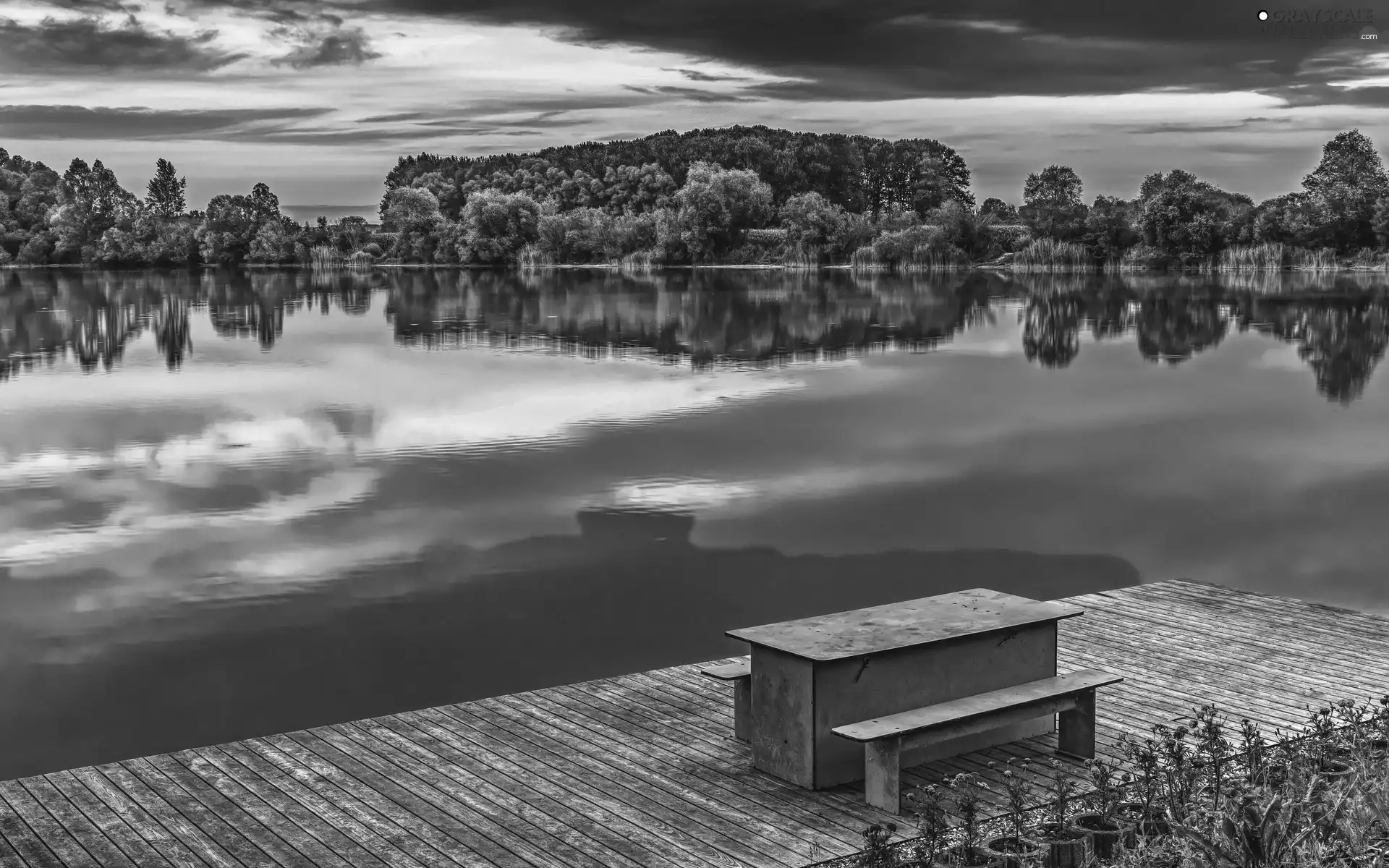 bench, Platform, viewes, Table, lake, trees, Great Sunsets
