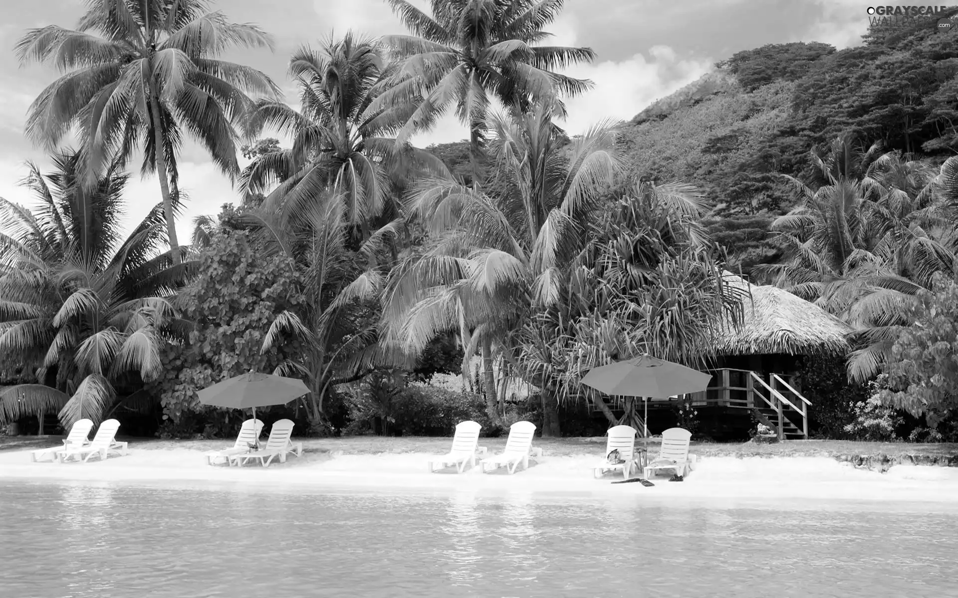 Beaches, deck chair, Sunshade, Palms