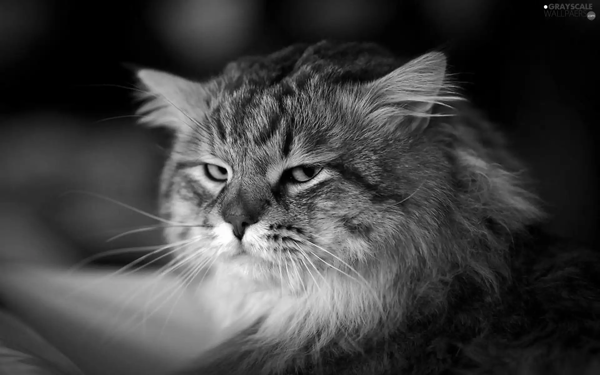 The look, ##, suspicious
