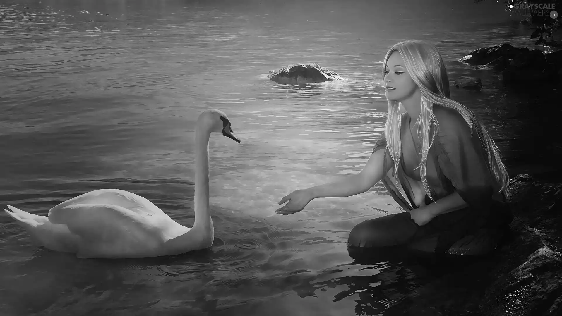 Swans, Women, Blonde