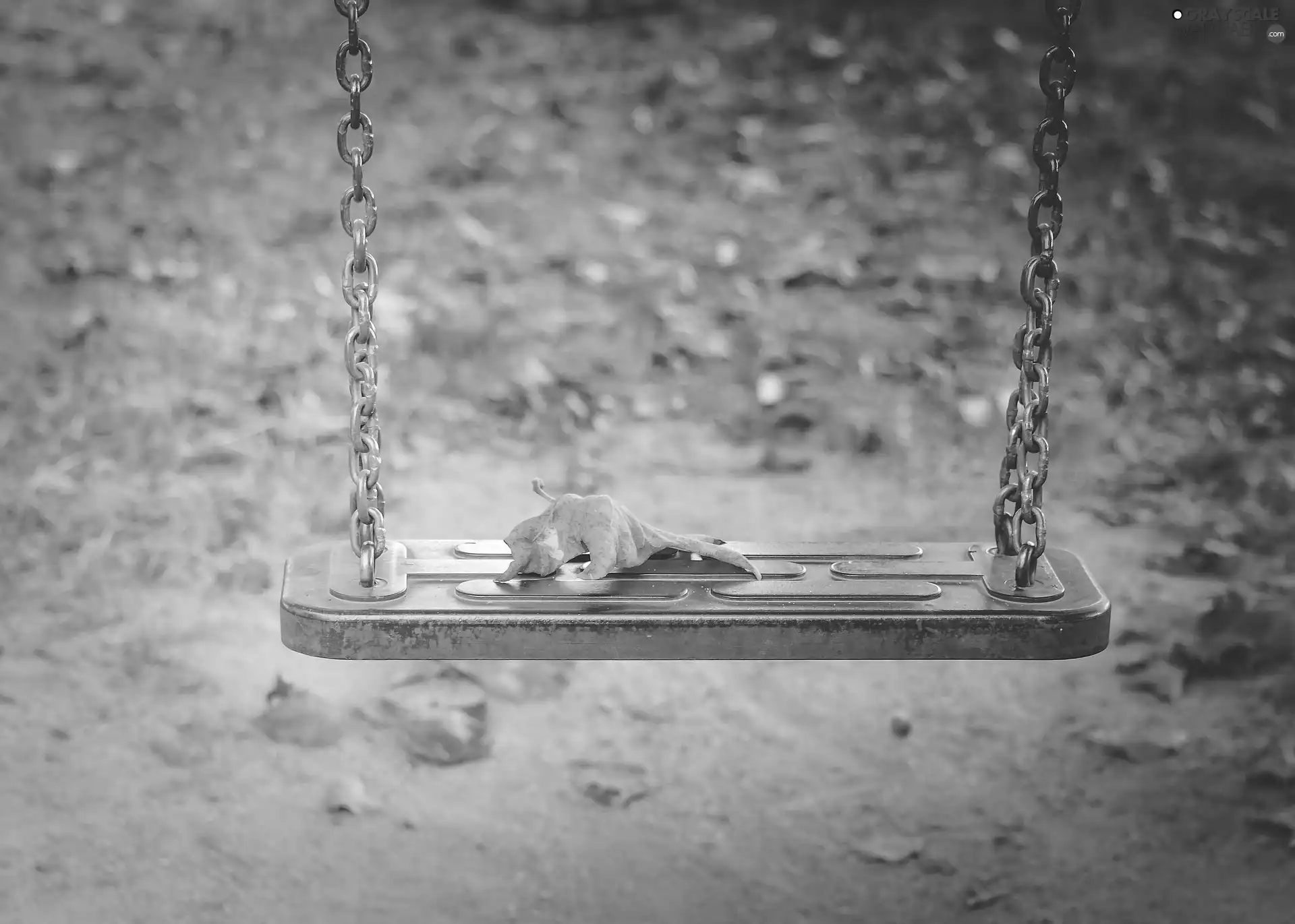 Swing, leaf