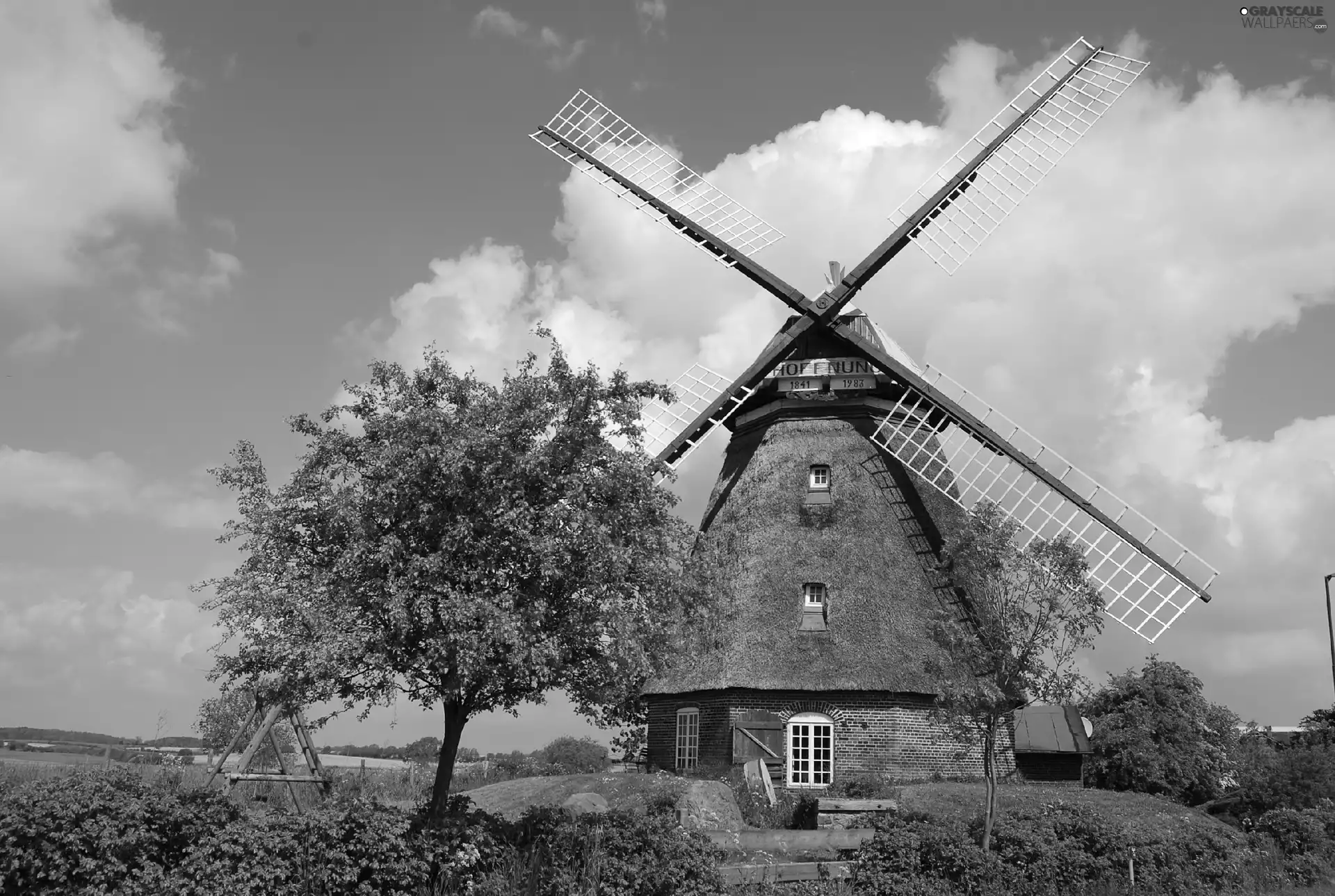 Windmill, viewes, Swing, trees