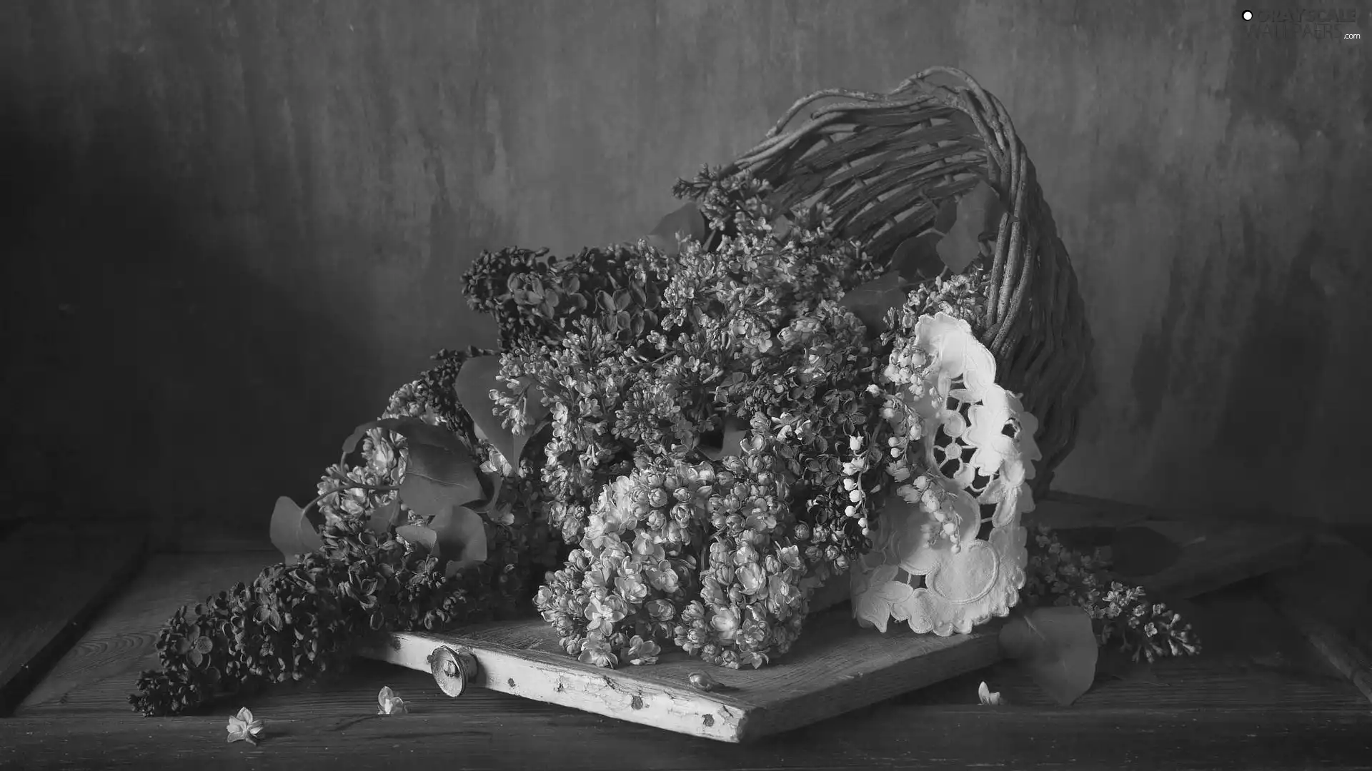 without, basket, napkin, Syringa