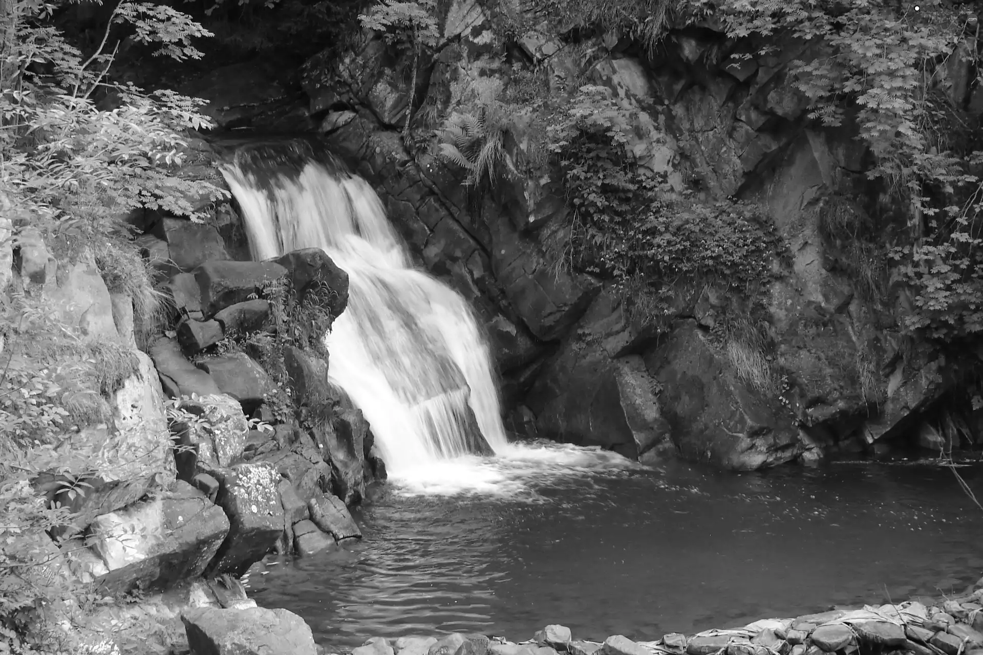 Szczawnica, waterfall, Zaskalnik