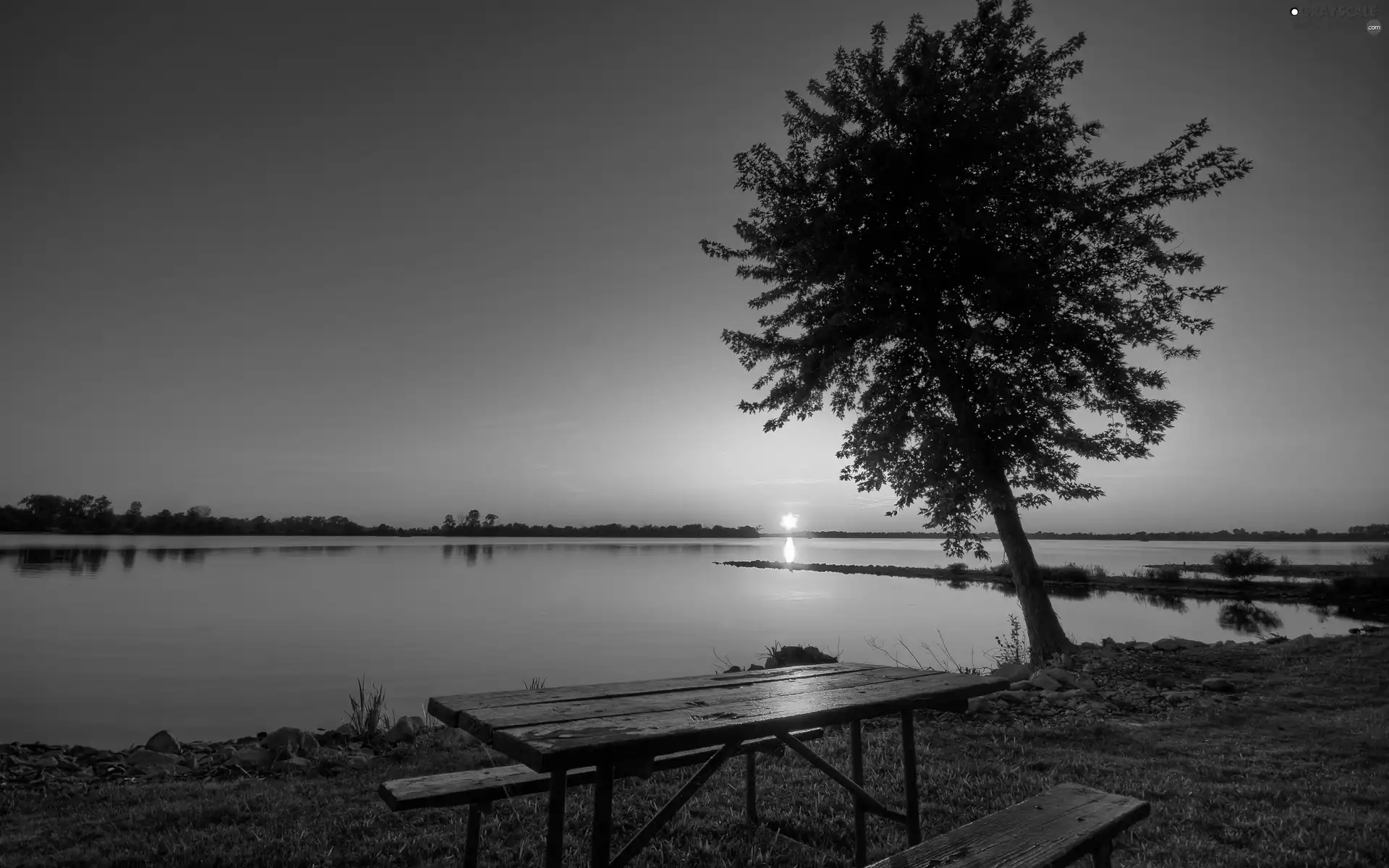 lake, west, Table, bench, trees, sun