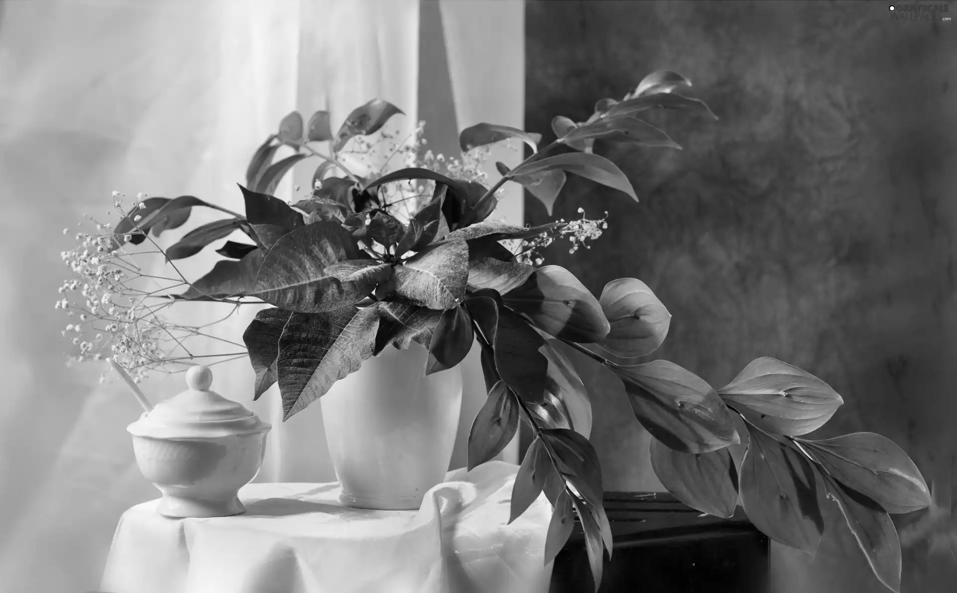 Vase, composition, star of Bethlehem, table