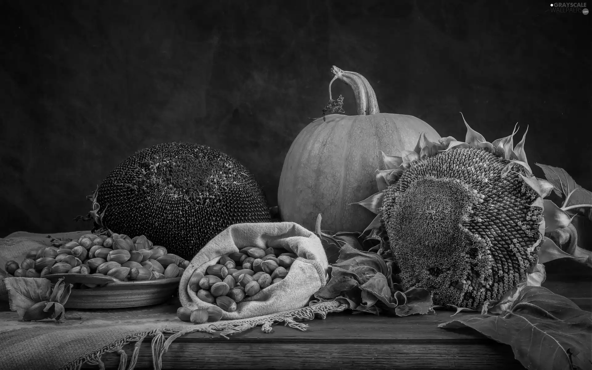 cloth, composition, Table, Hazelnuts, pumpkin, Sunflower