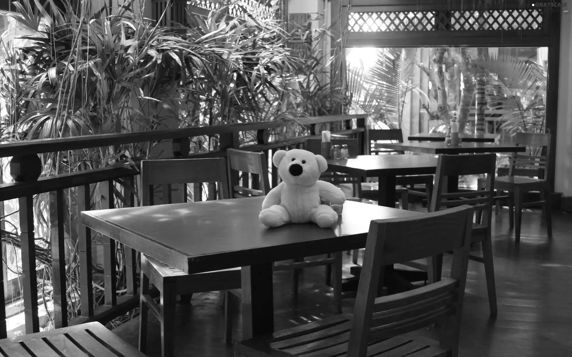 Stool, teddy bear, Table