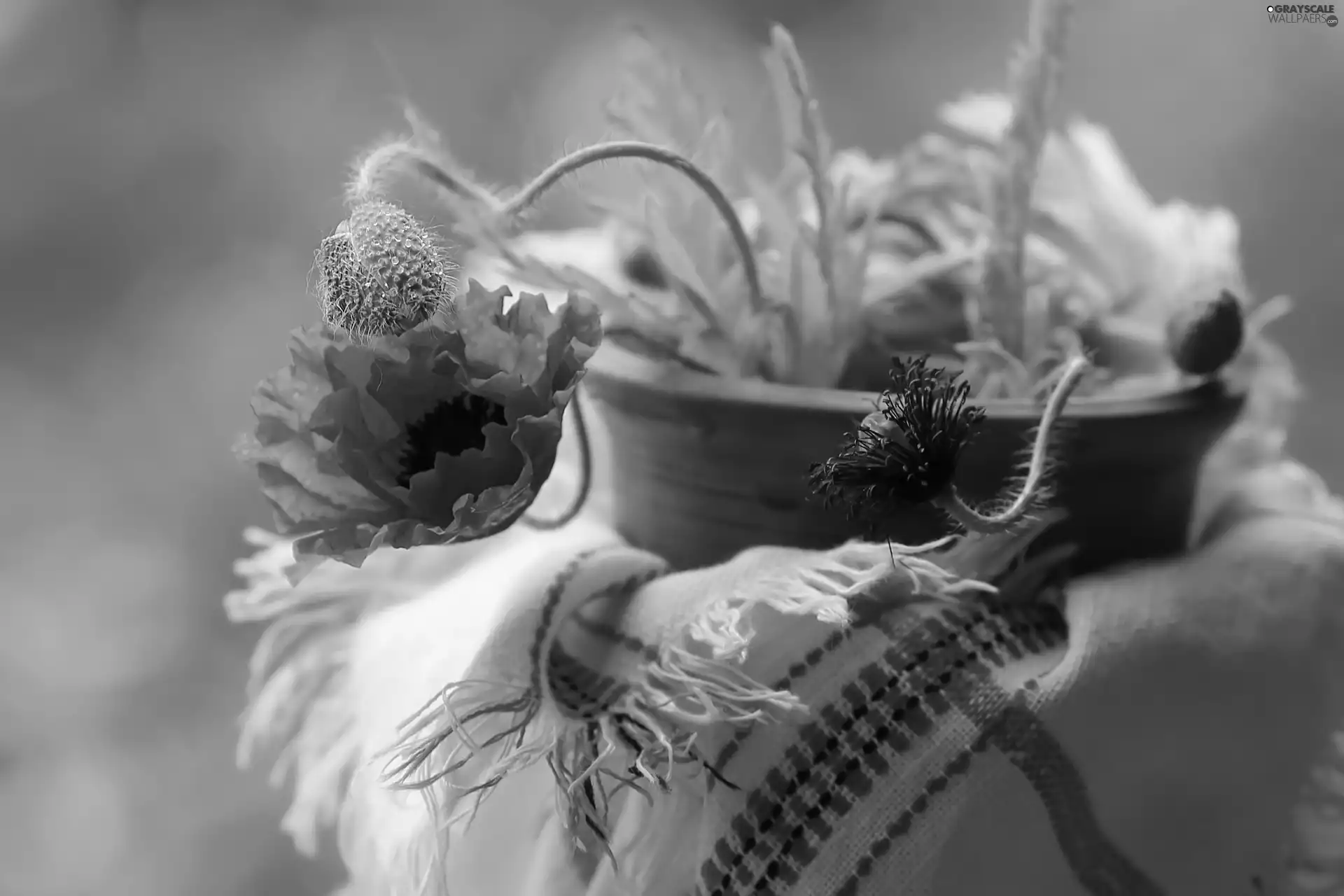 bowl, tablecloth, papavers, Buds, Flowers