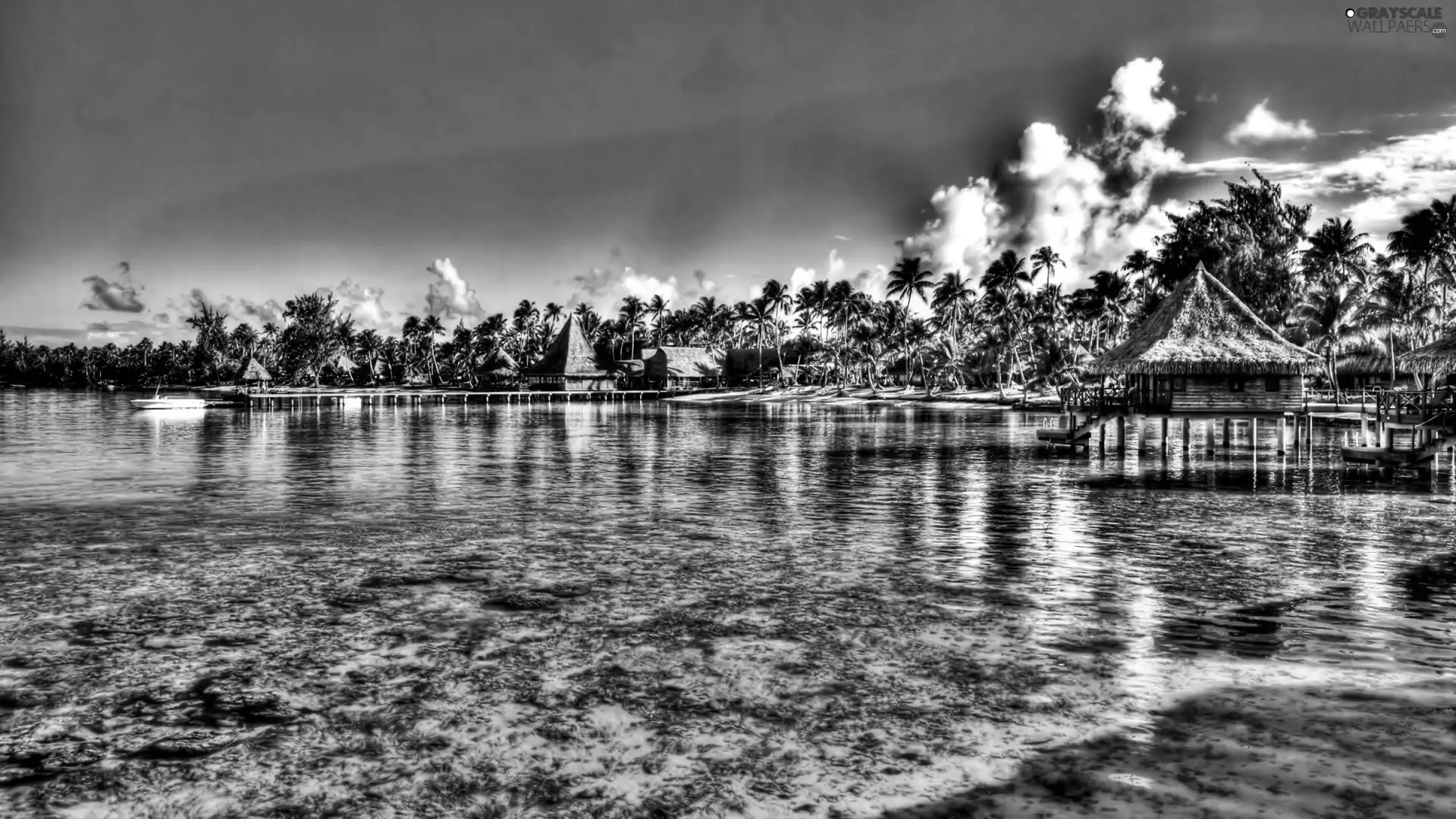 Houses, sea, Tahiti, HDR, Palms, Coast