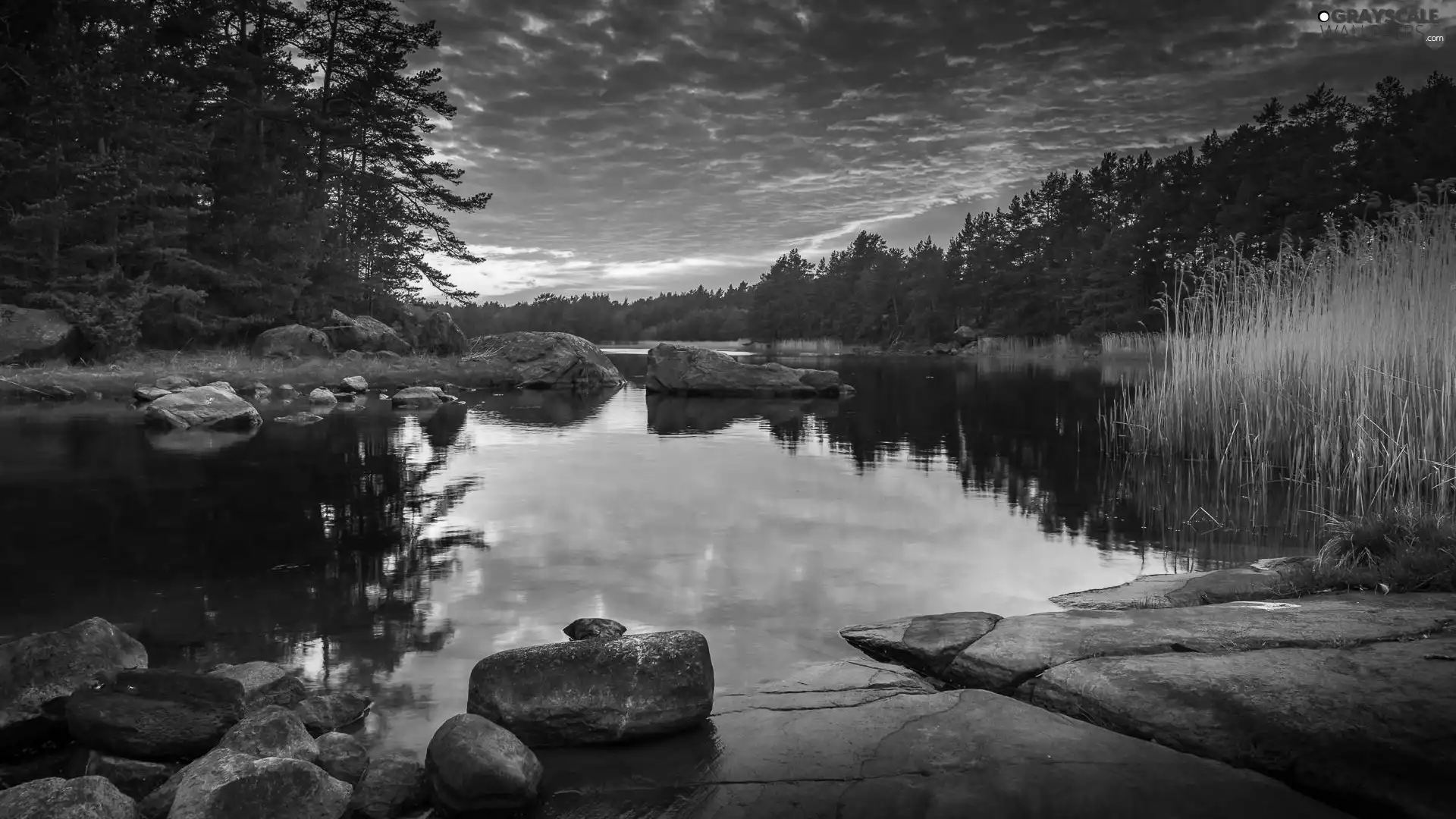 tall, grass, clouds, trees, Great Sunsets, Stones, River, viewes