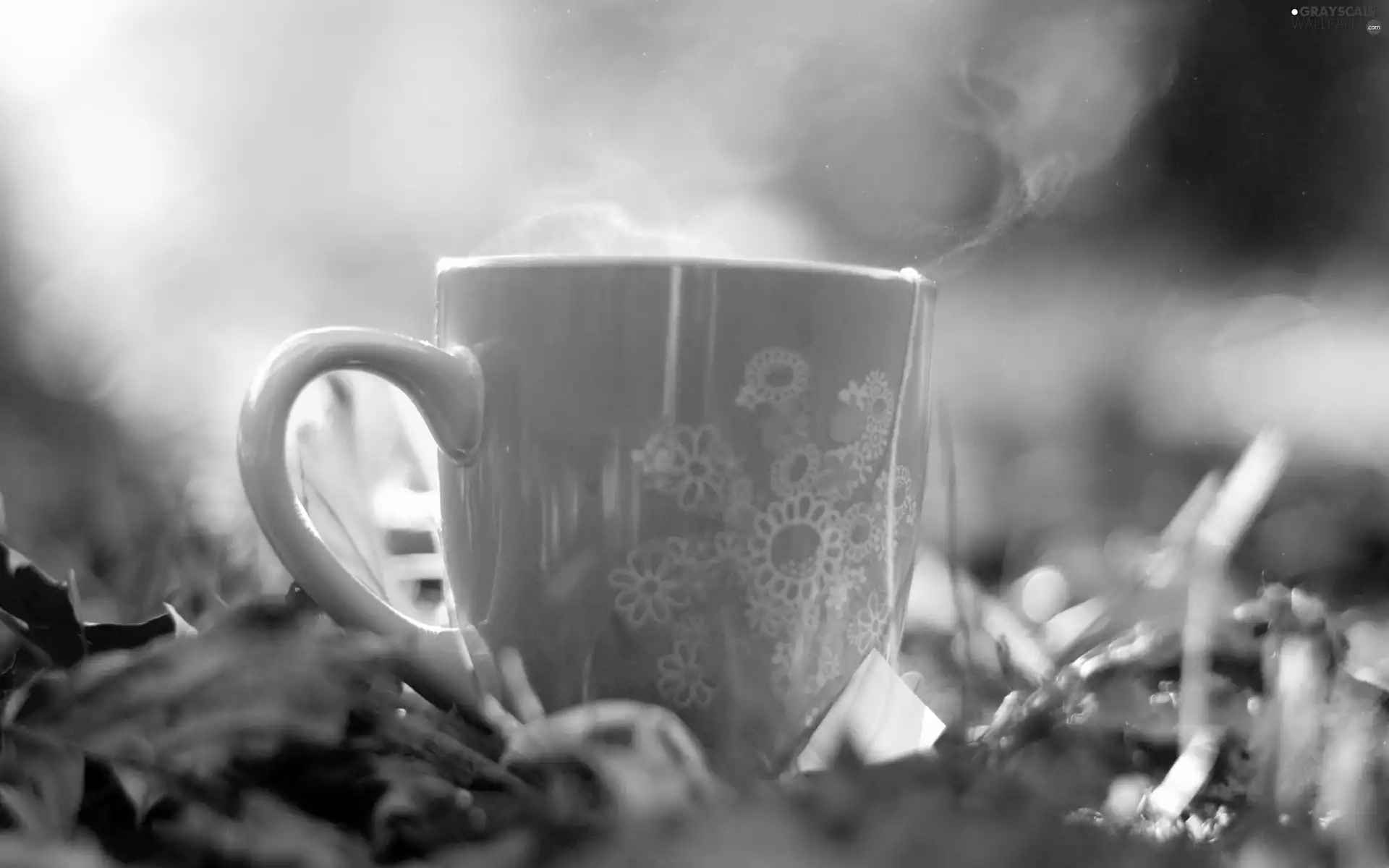 cup, tea