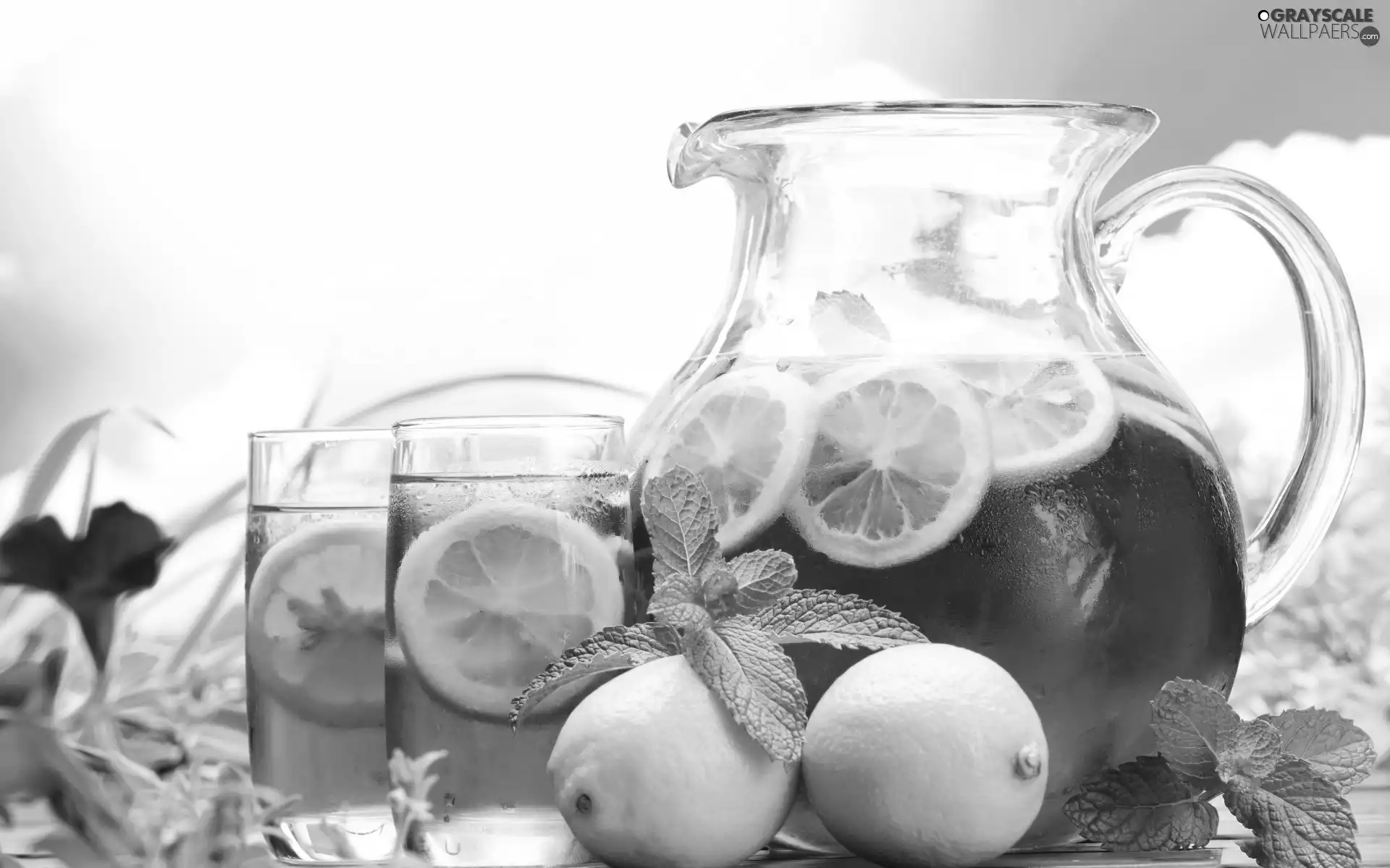 jug, frozen, tea, glasses