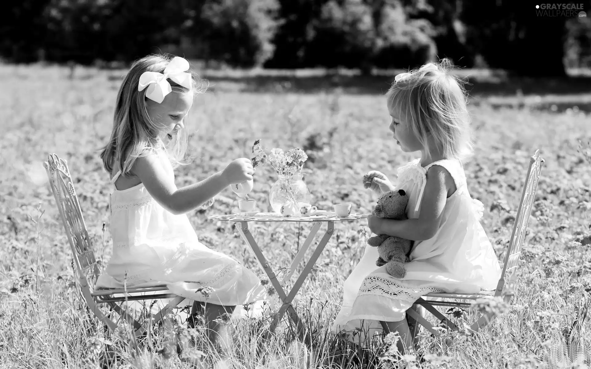 Meadow, table, tea, girls