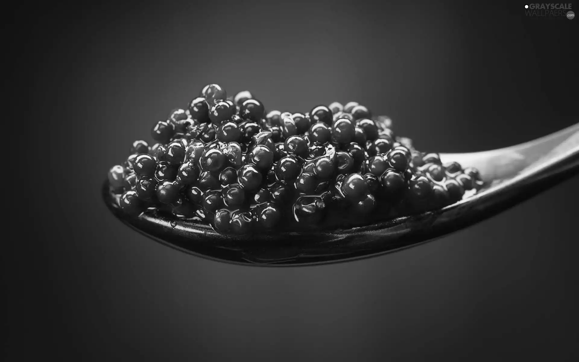 caviar, teaspoon