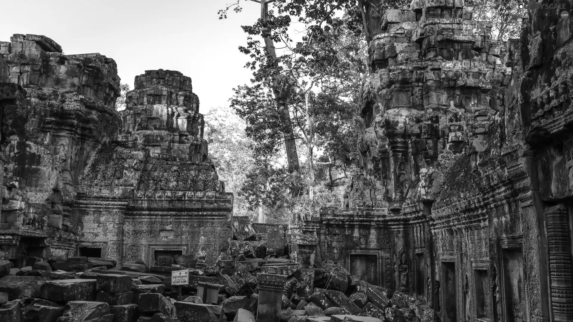 temple, Cambodia, trees, viewes, ruins, Angkor Wat