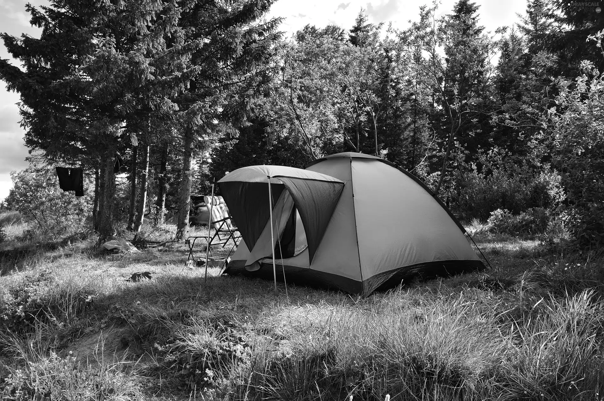 Tent, forest, lake