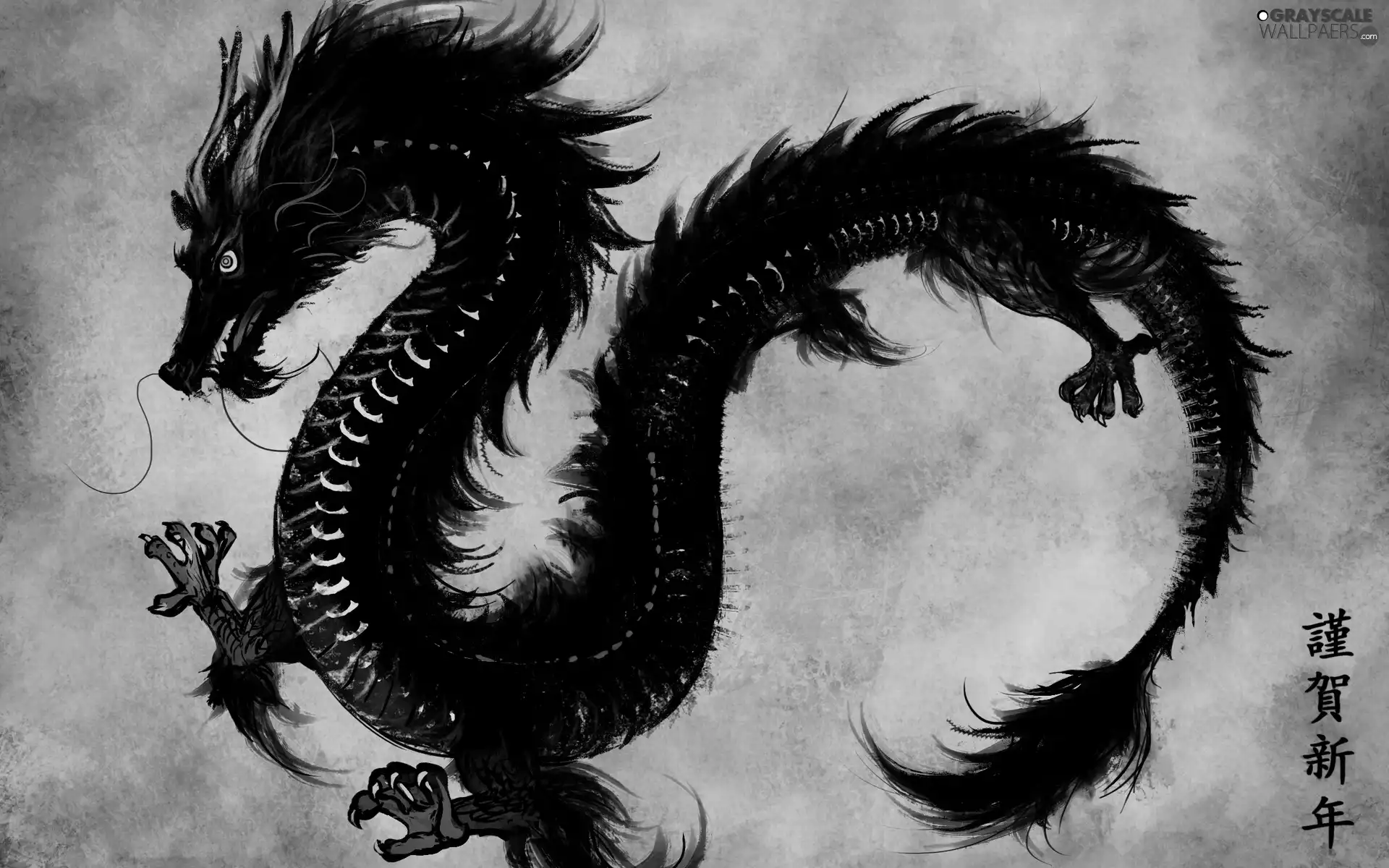 Chinese, Dragon, text, Black