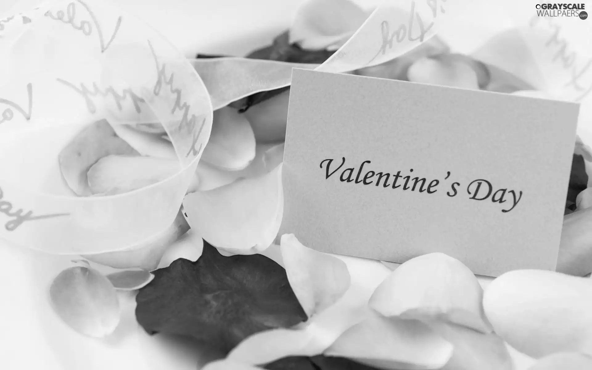 flakes, text, Valentine