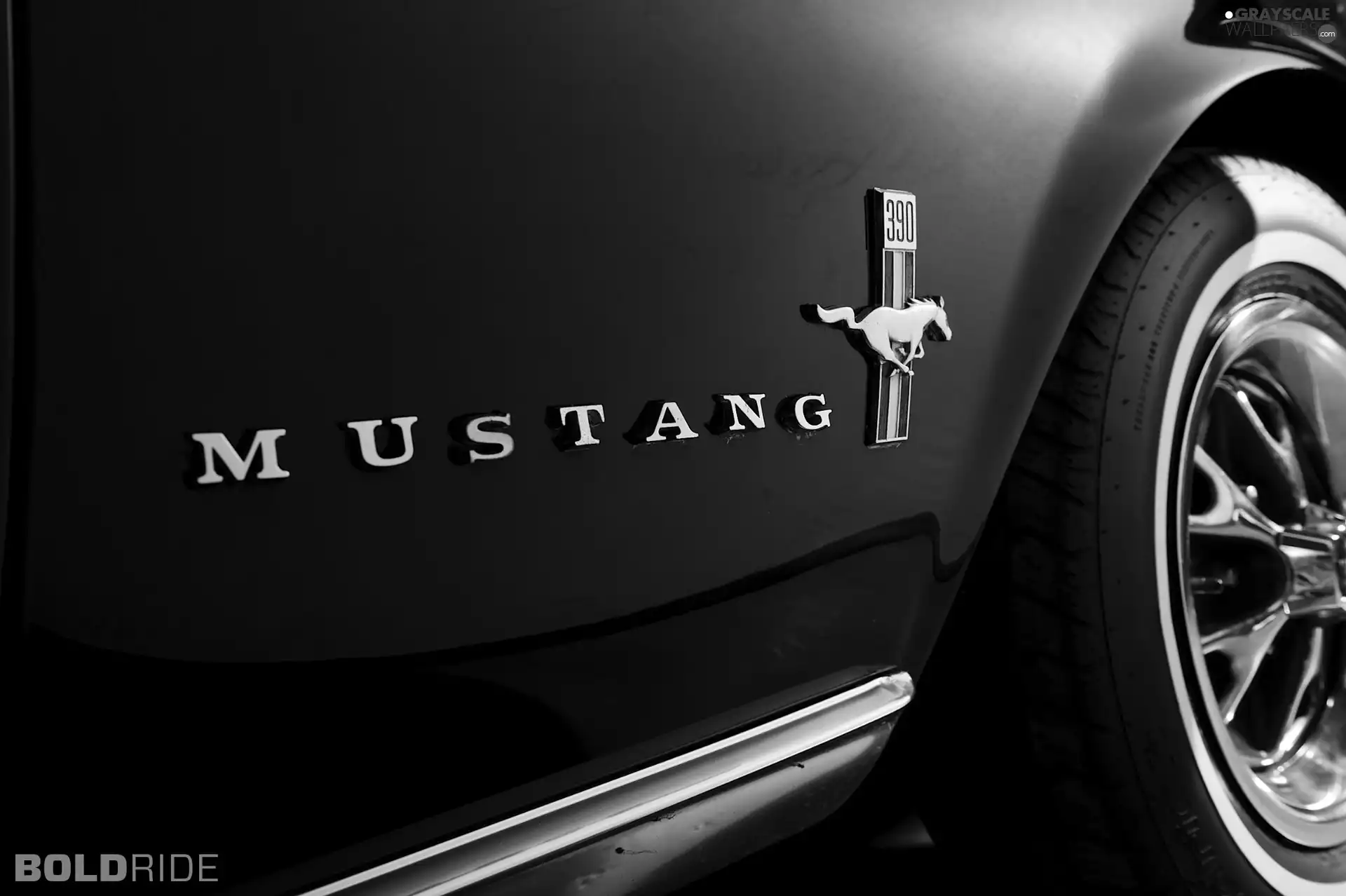 text, Ford, Mustang