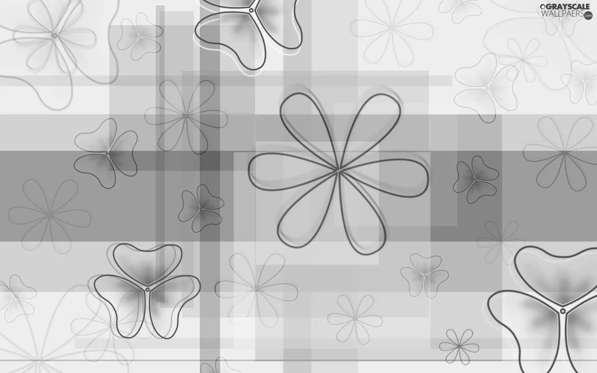 texture, Flowers, different