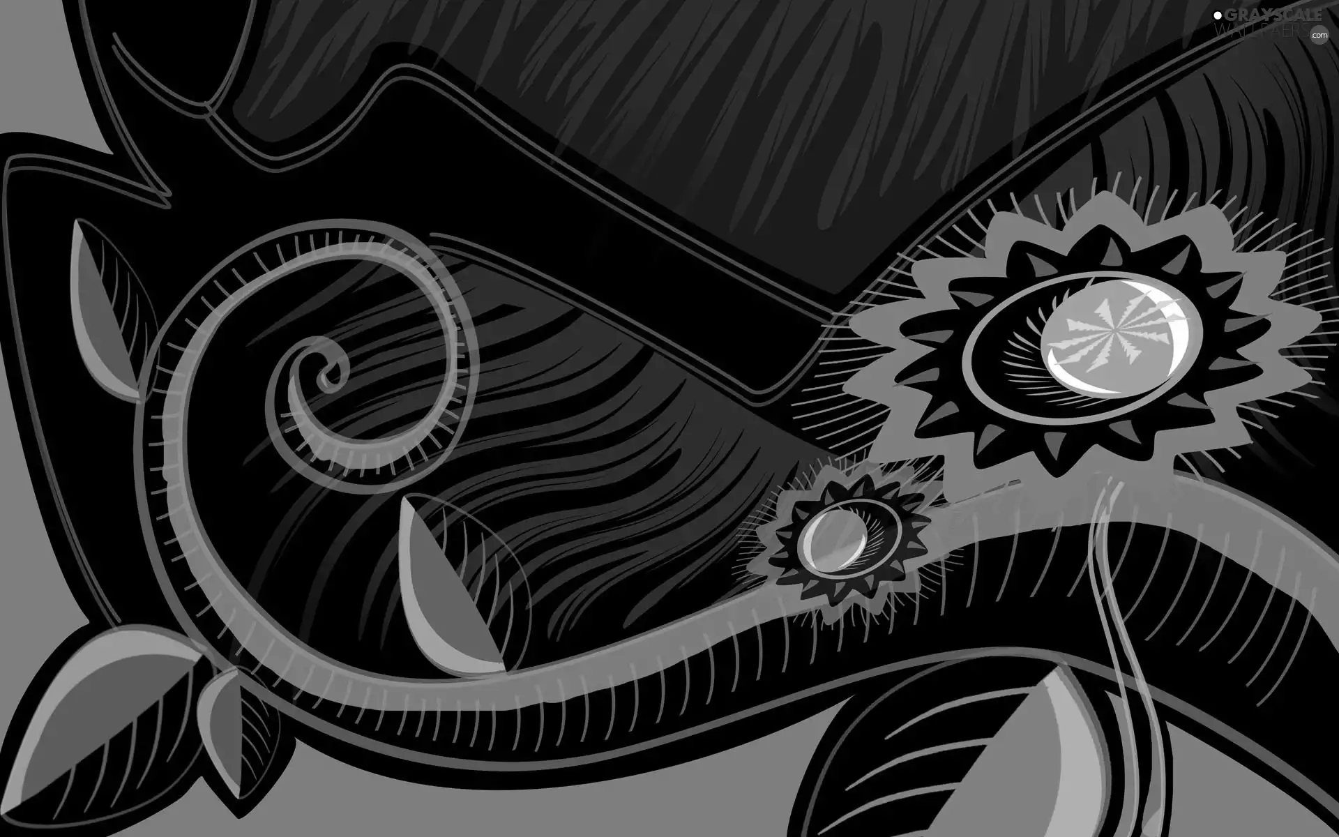 fancy, flourishes, texture, Flowers