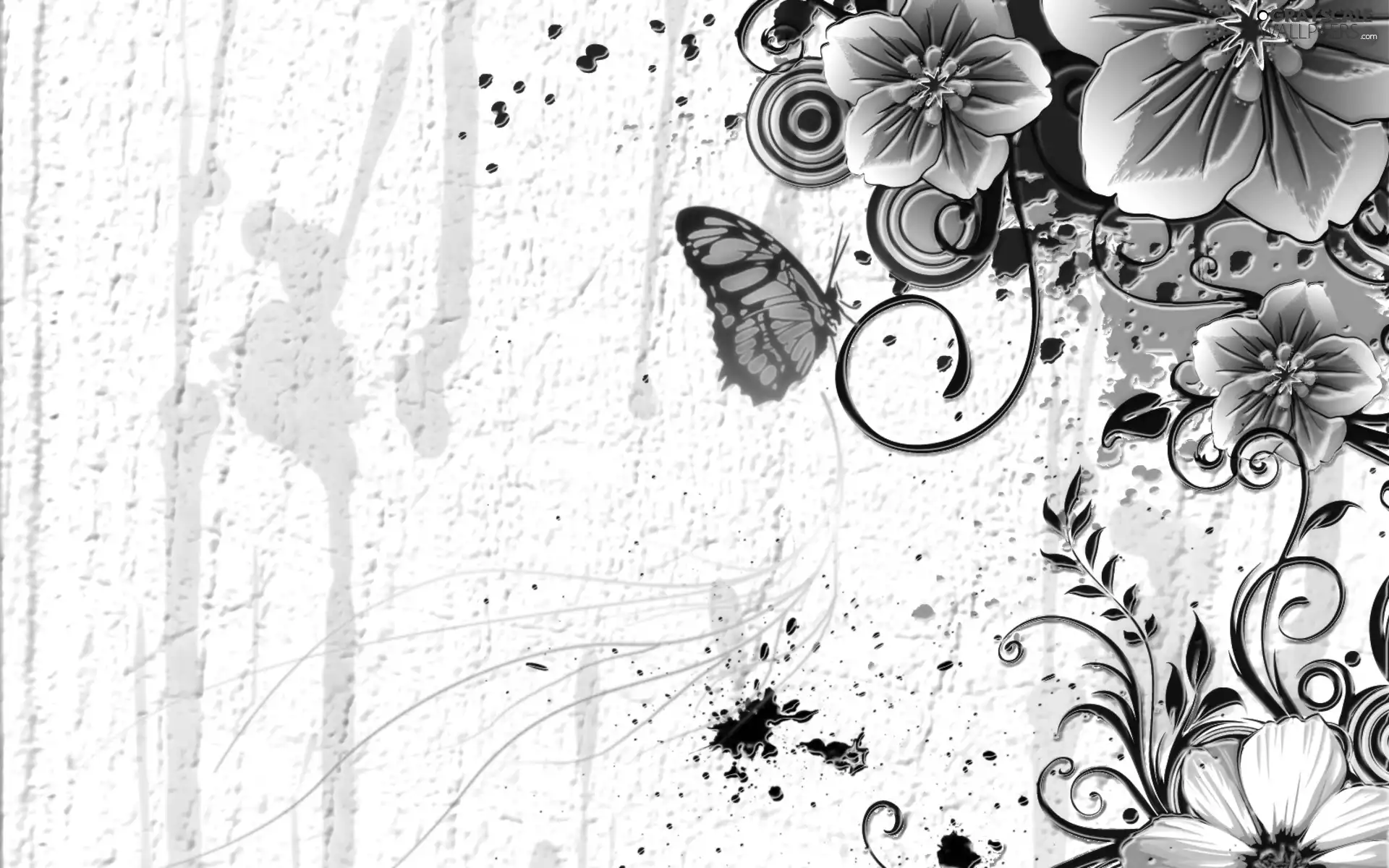 texture, butterfly, Flowers