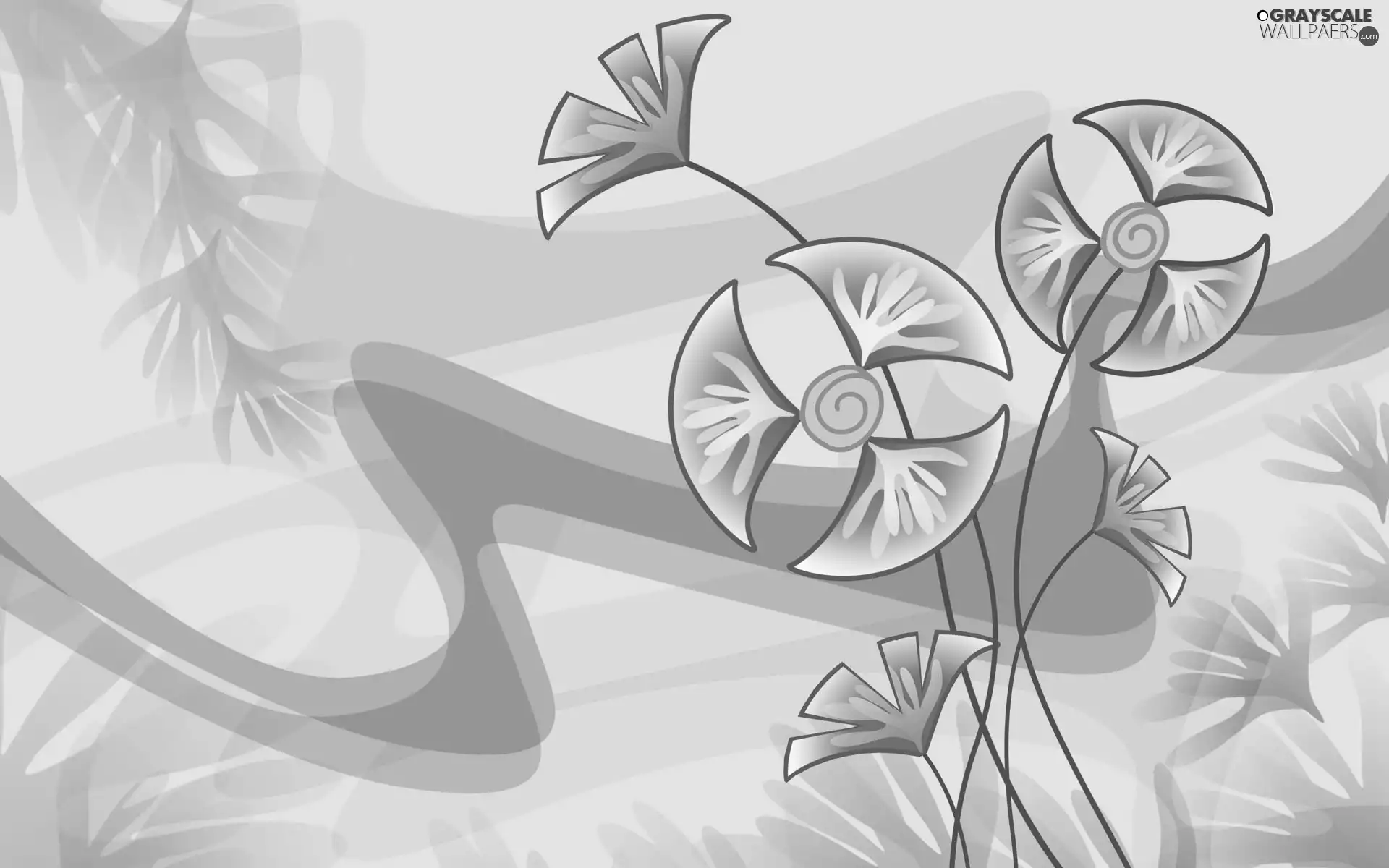 texture, fancy, Flowers