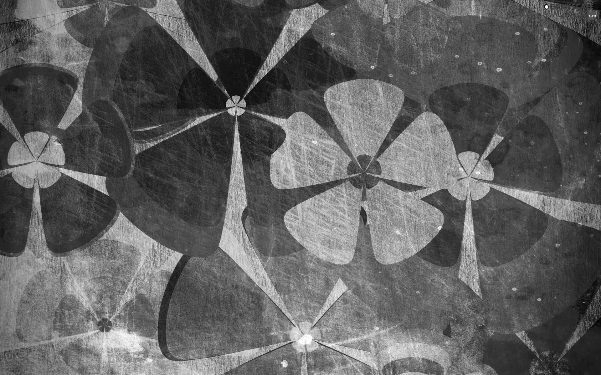 Texture, Flowers, graphics
