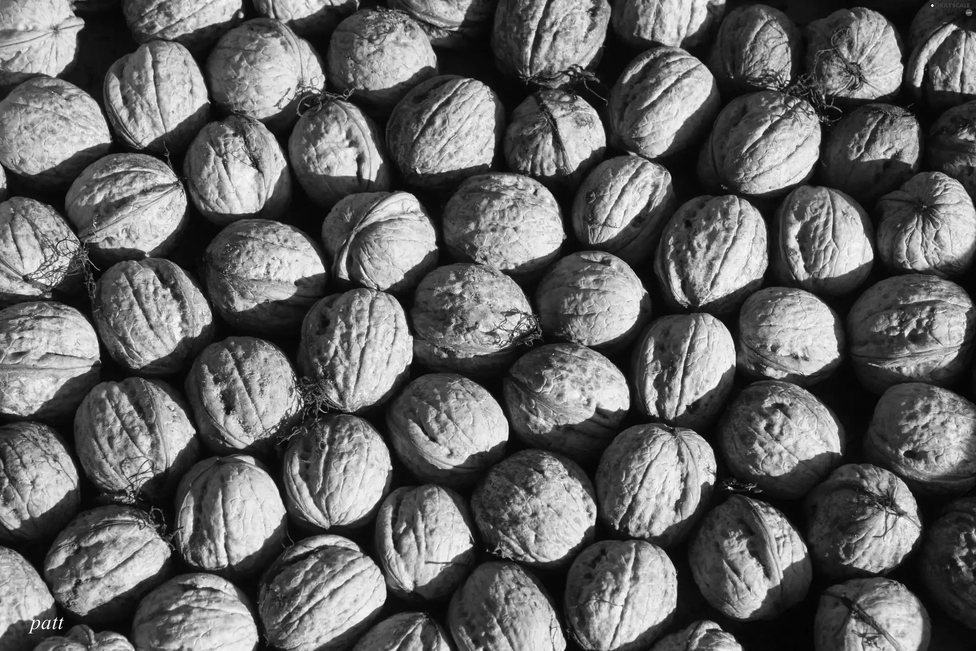 nuts, texture