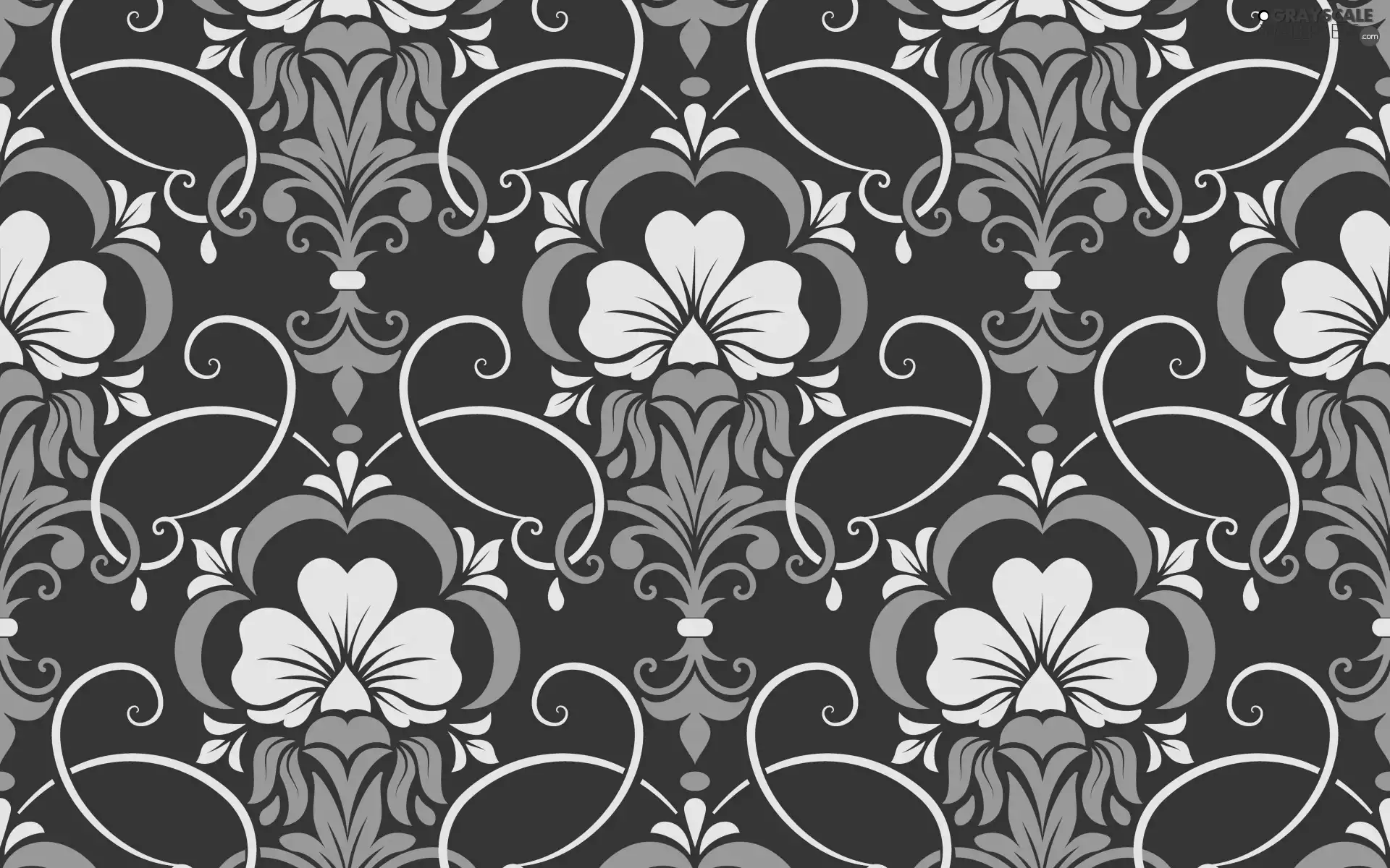 texture, Flowers, ornament
