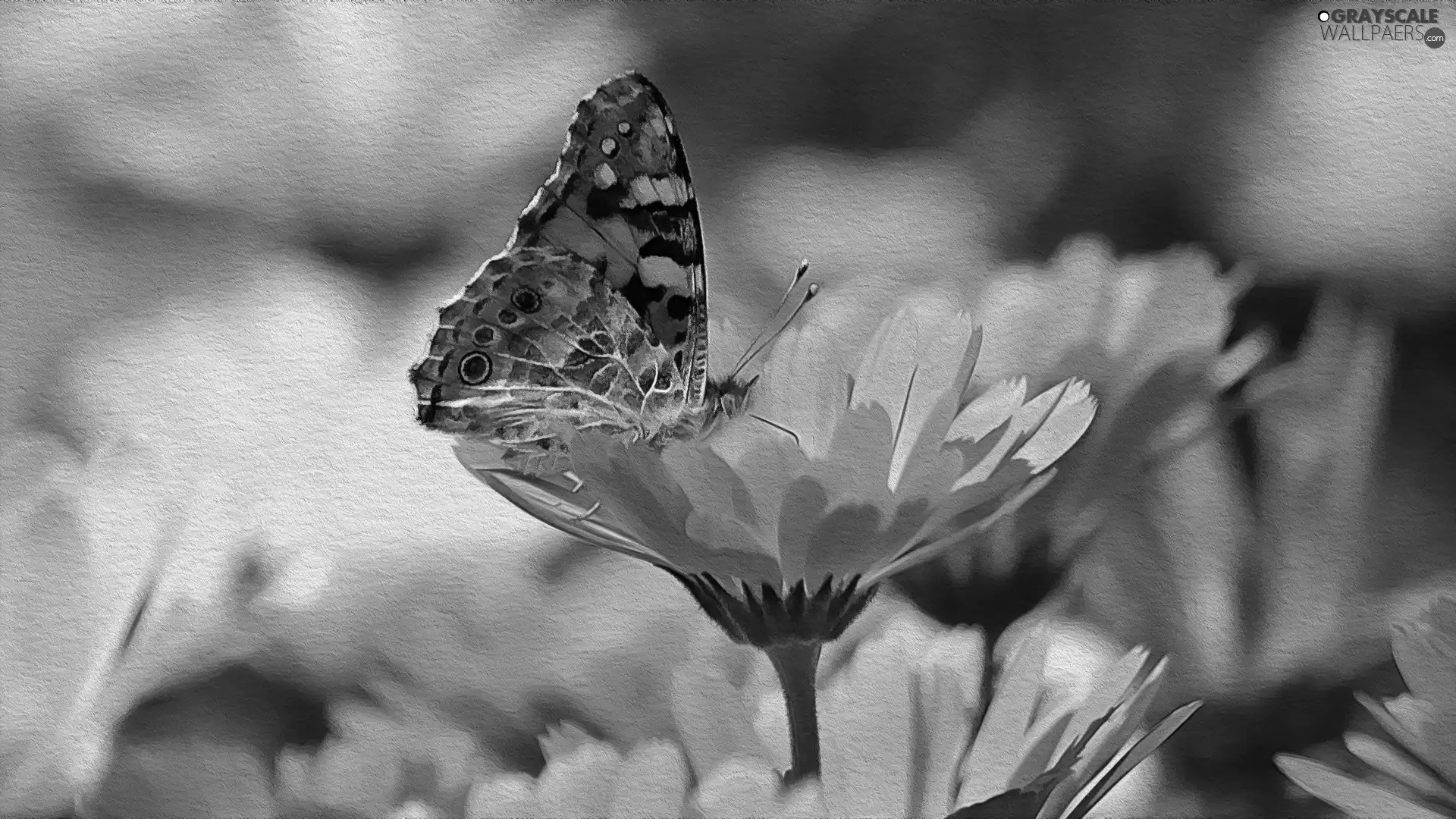 Yellow, butterfly, texture, Flowers