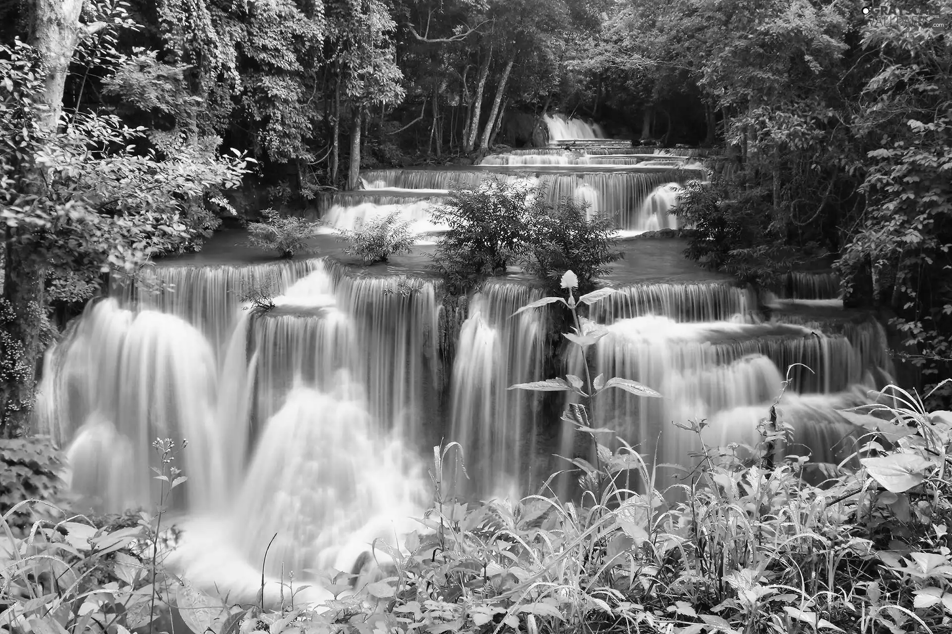 forest, cascade, Thailand, waterfall