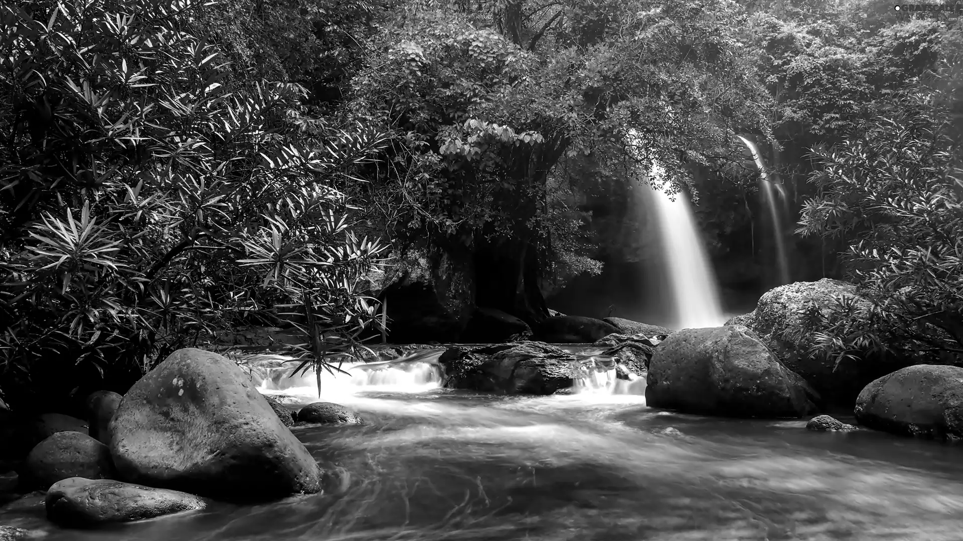 River, Khao Yai National Park, trees, Waterfall Haew Suwat, Thailand, rocks, viewes