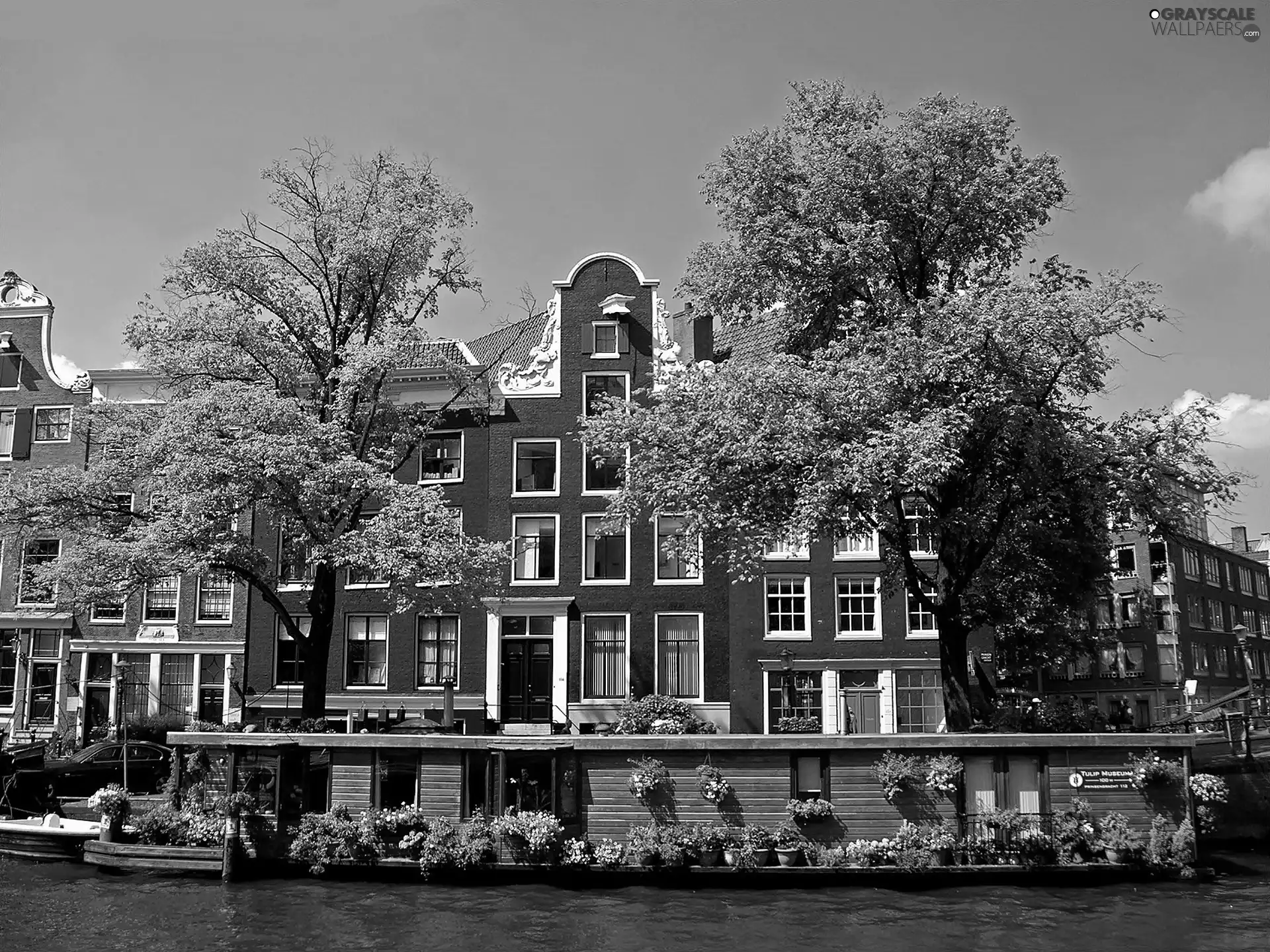 fragment, summer, Amsterdam, apartment house, on The Water, Boat, canal, house, VEGETATION