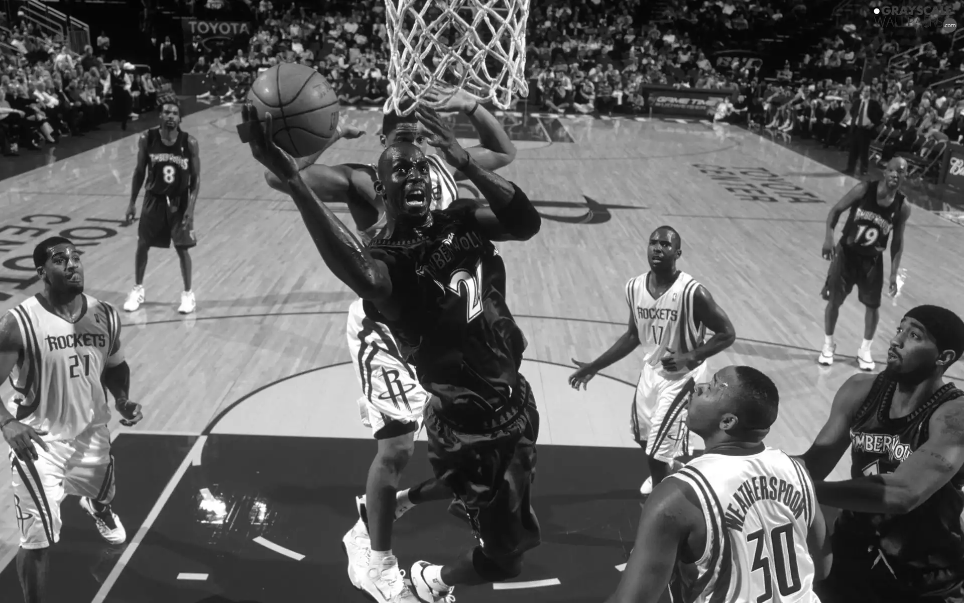 basketball, Ball, the fans, players