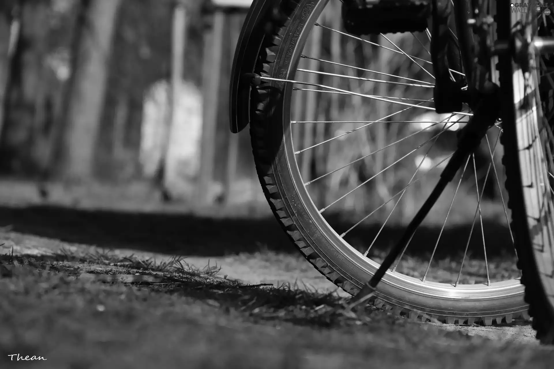 Bike, tire, the spokes, circle