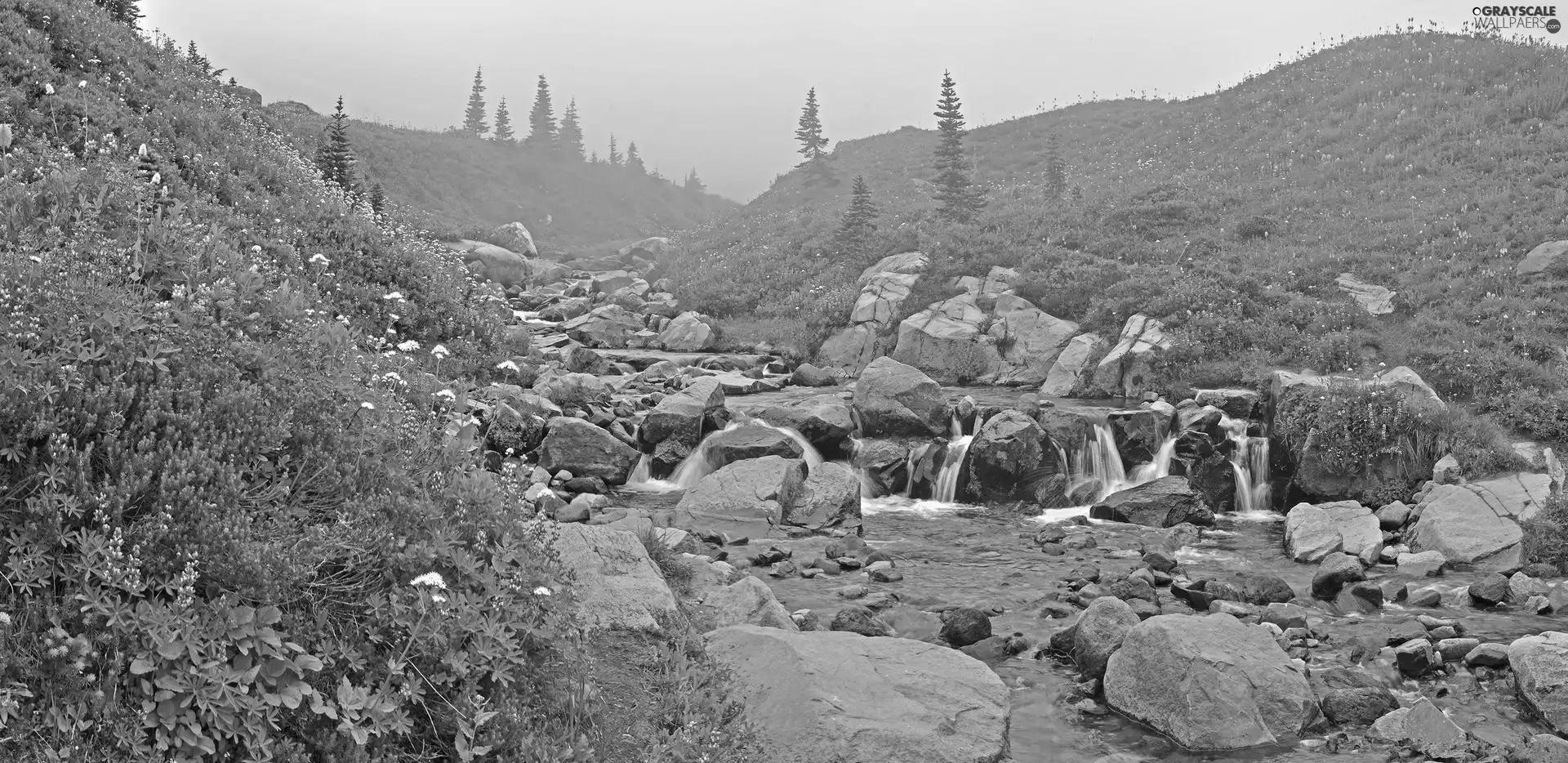 brook, Stones, The Hills, waterfall