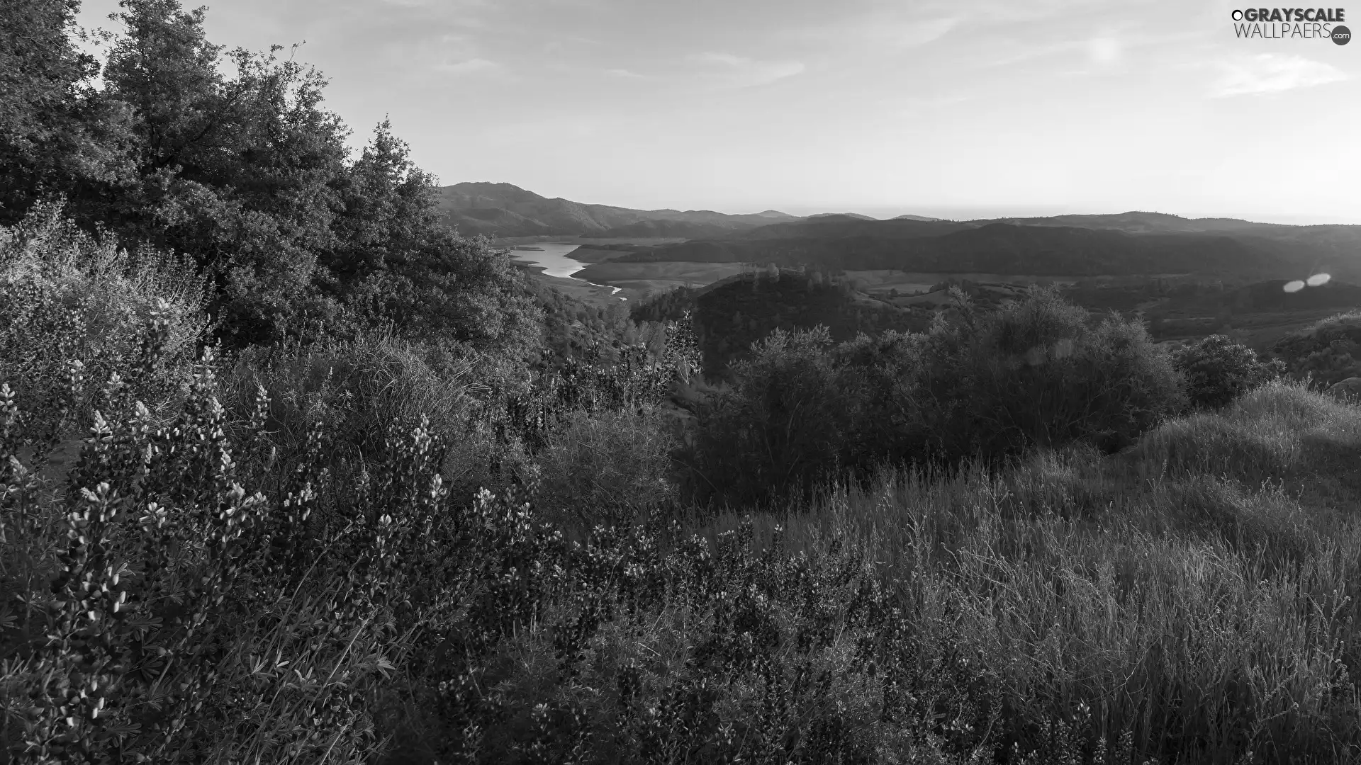The Hills, Mountains, lake, trees, grass, Flowers, Sunrise, Bush, viewes
