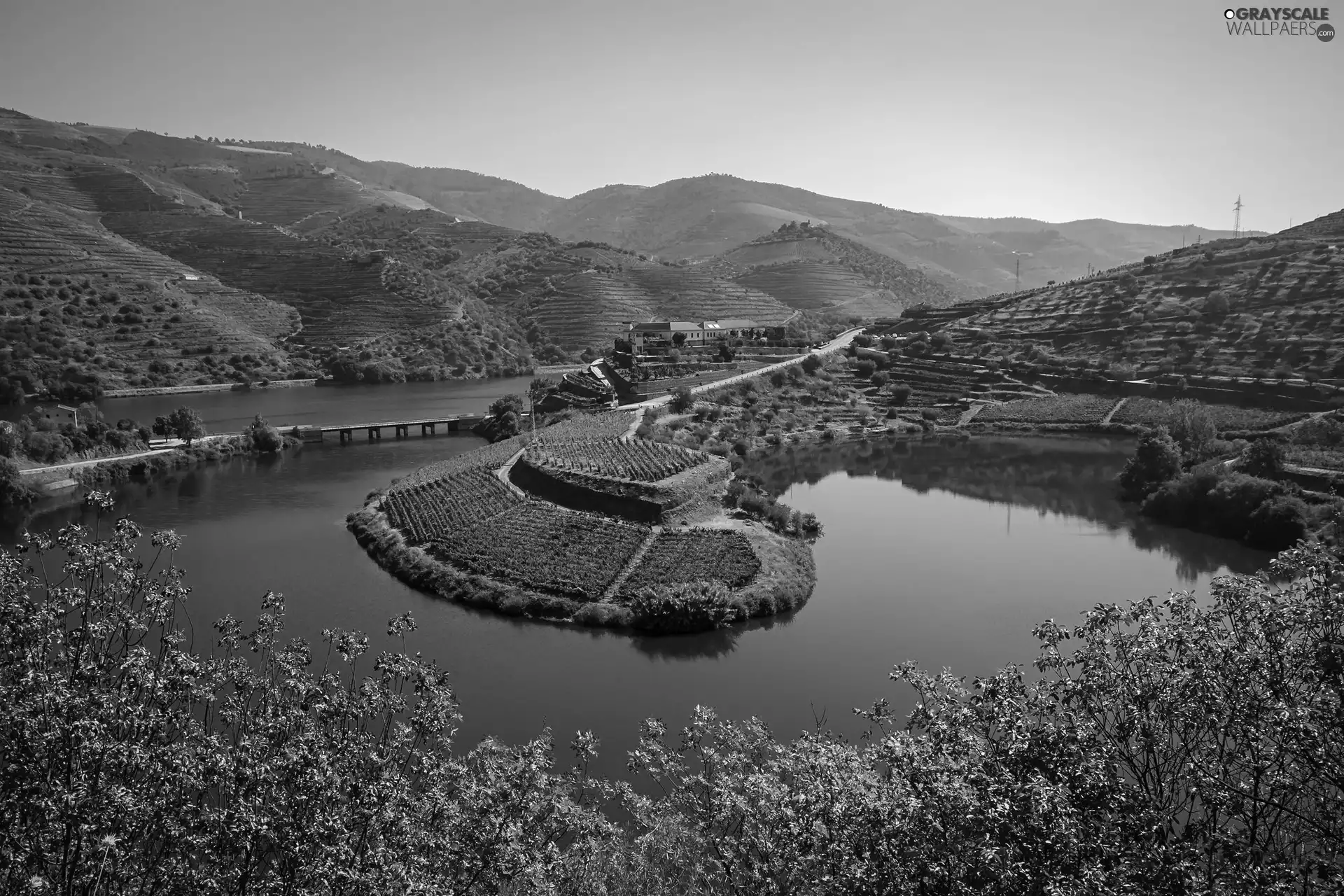 Houses, River, The Hills